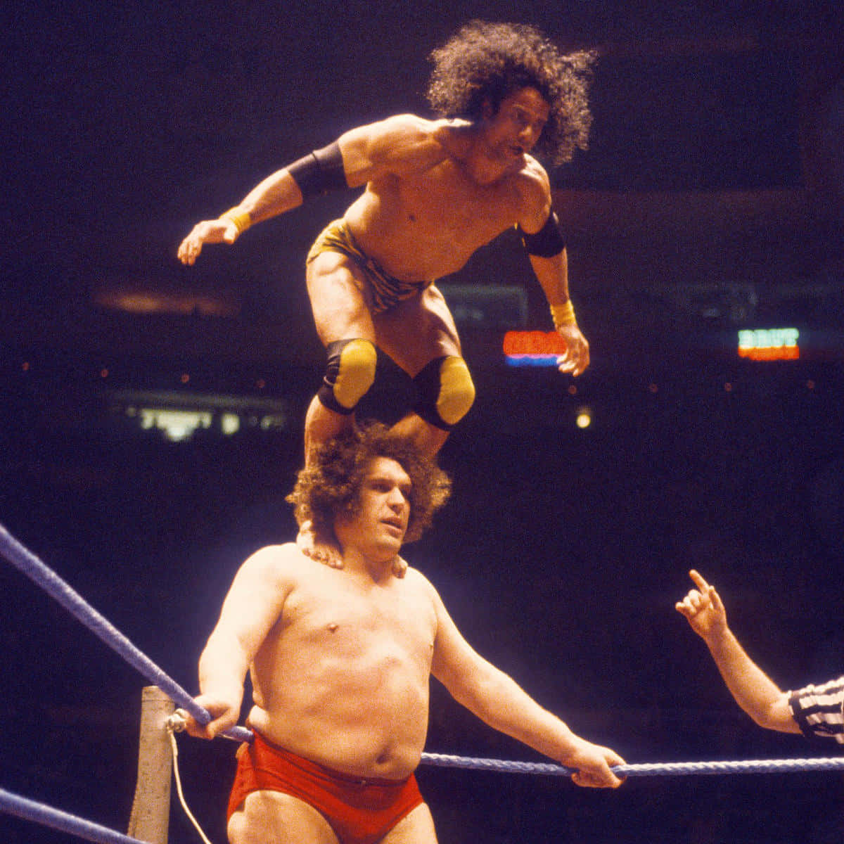 Jimmy Snuka And Andre Roussimoff Wallpaper