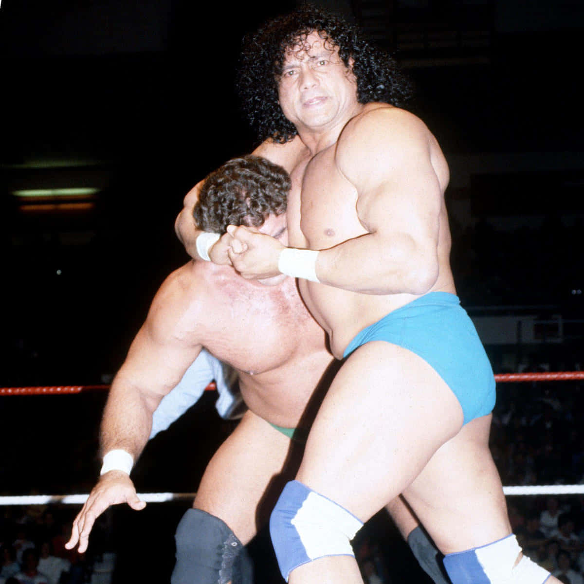 Jimmy Snuka And Andre The Great Picture