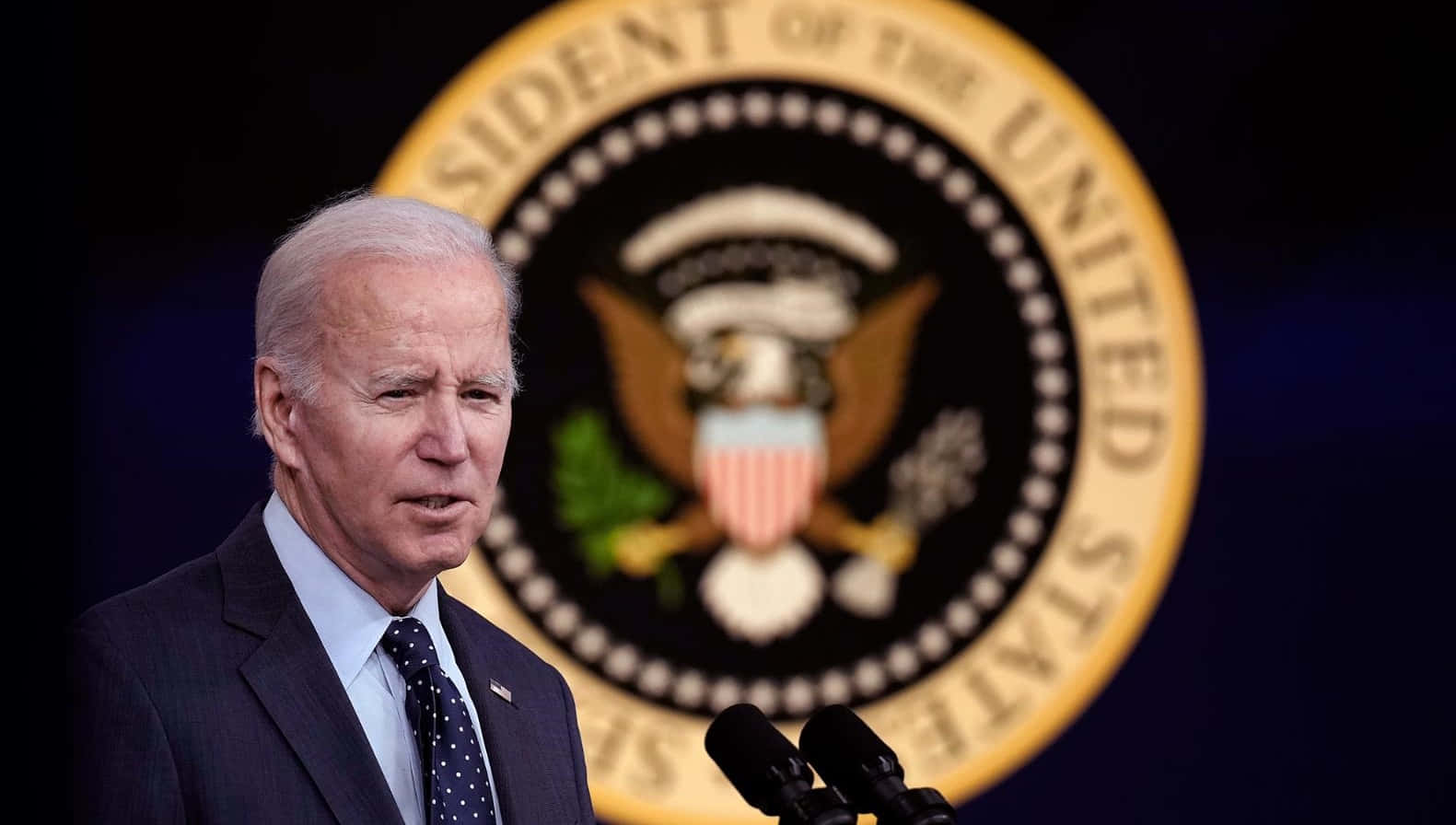 Joe Biden speaks to a large crowd