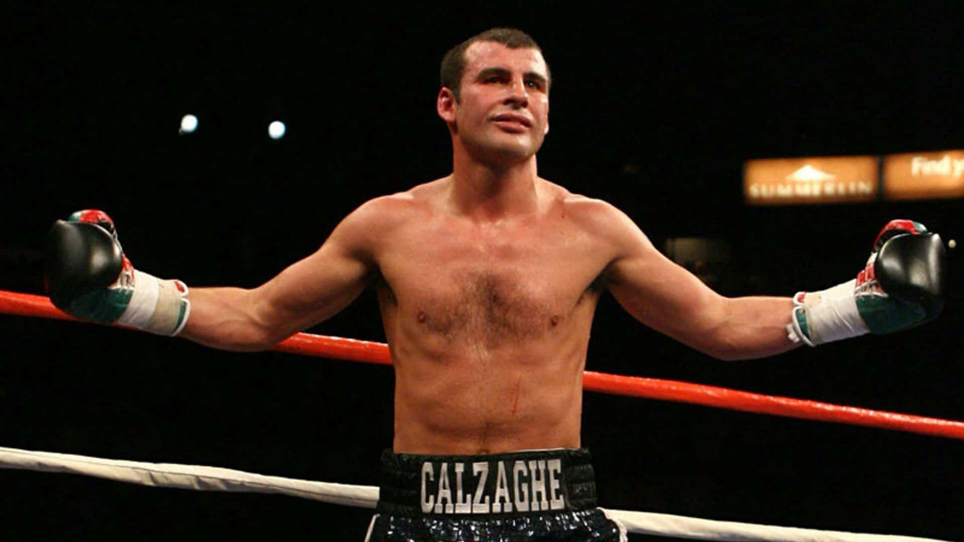 Joe Calzaghe Invites The Audience To Cheer Wallpaper