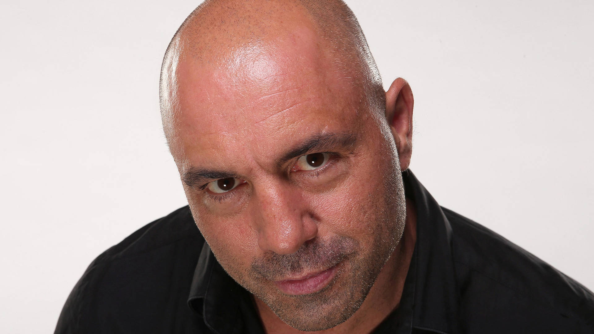 Joe rogan staring