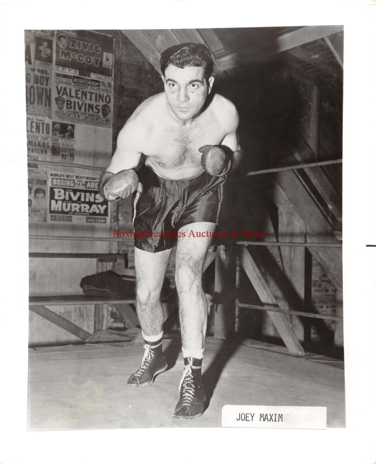 Joey Maxim, A Boxing Legend Wallpaper