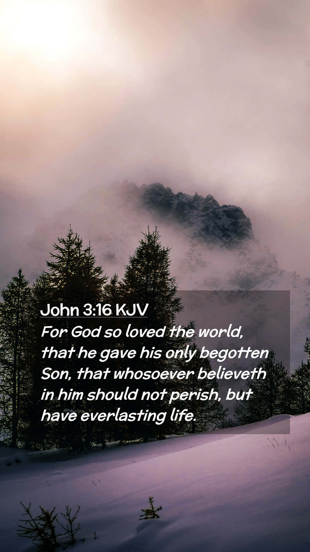 [100+] John 3:16 Wallpapers | Wallpapers.com