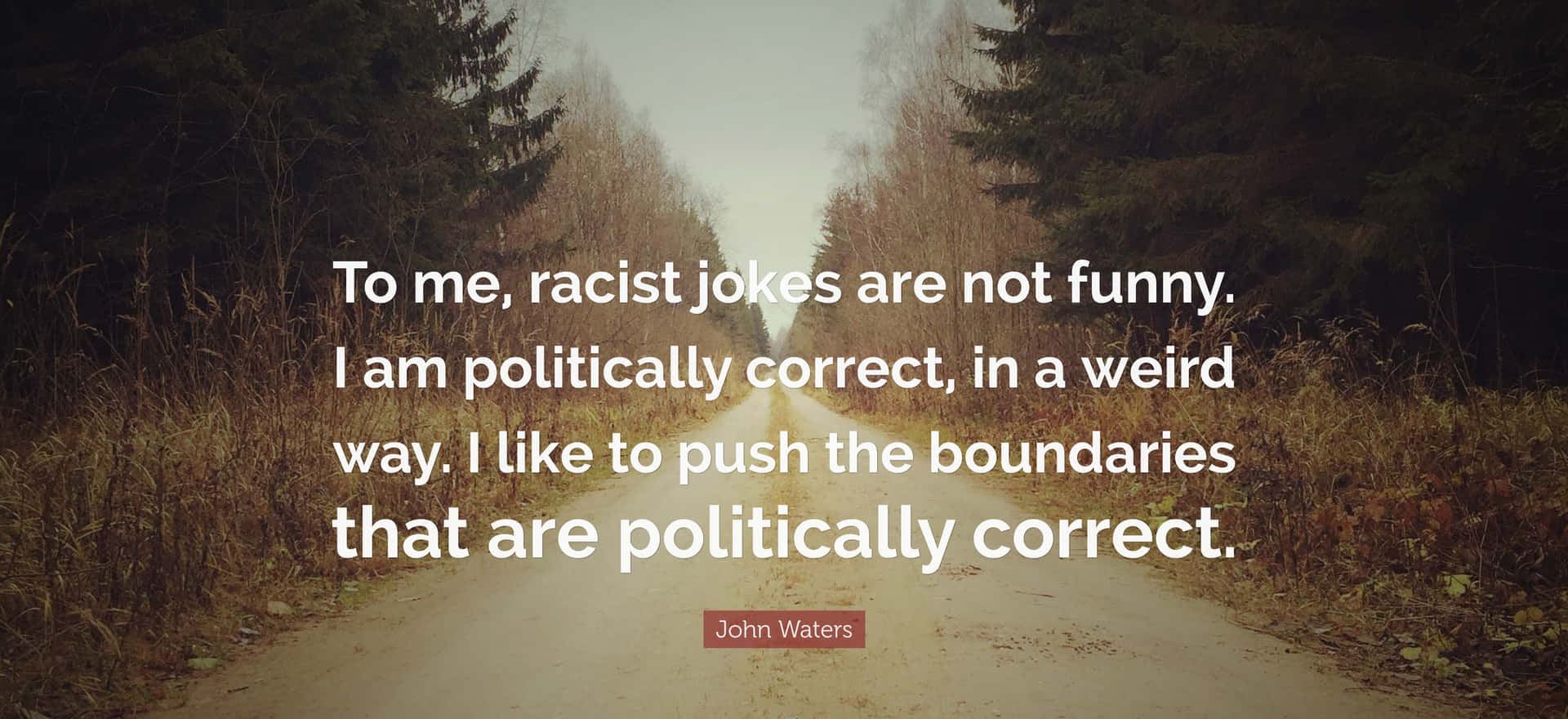 John Waters Political Correctness Quote Wallpaper