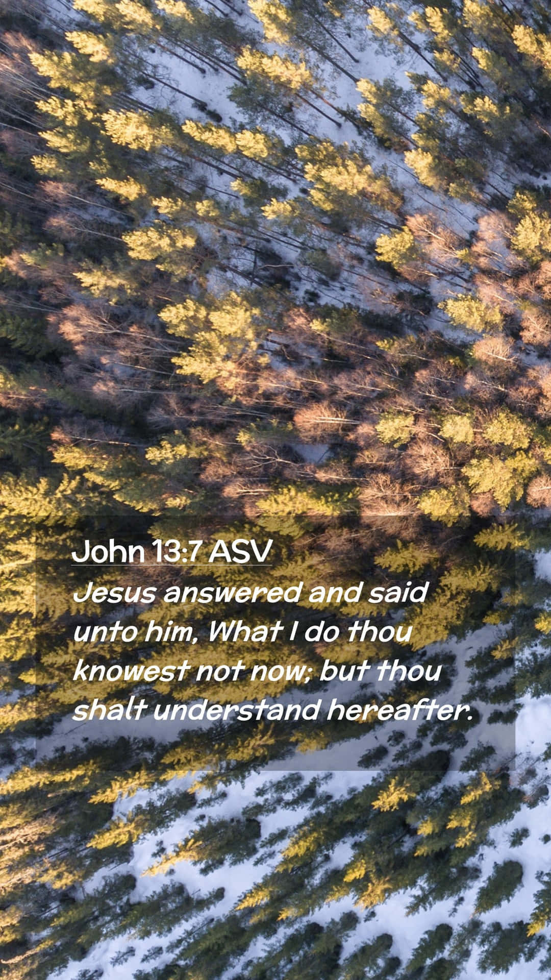 John137 Biblical Verse Winter Forest Wallpaper