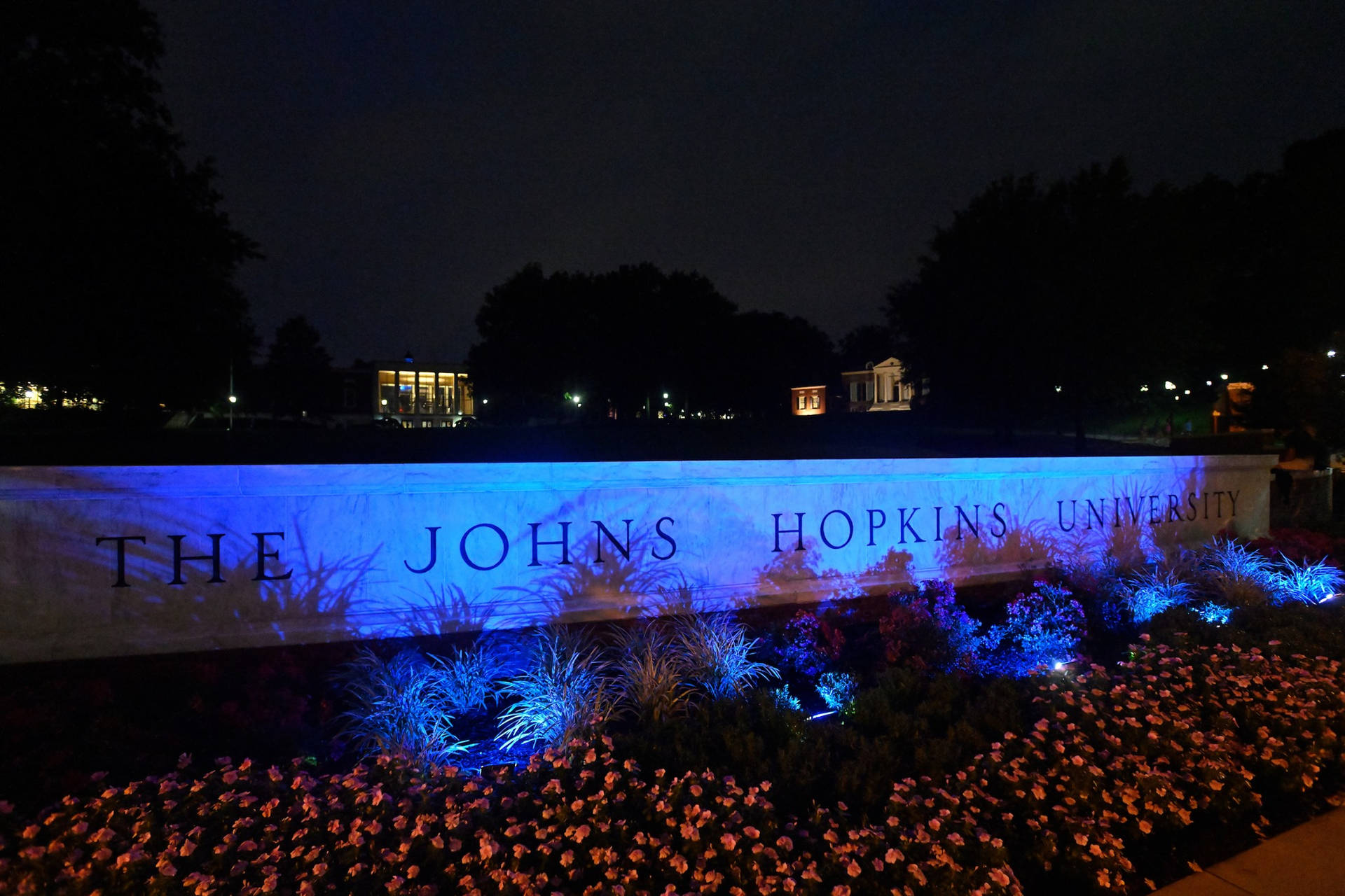 Johns Hopkins University Contrasting Colors Wallpaper