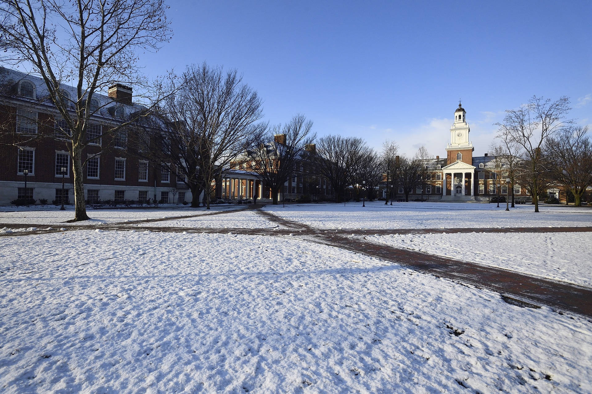 Johns Hopkins University Snowy Lawns Wallpaper