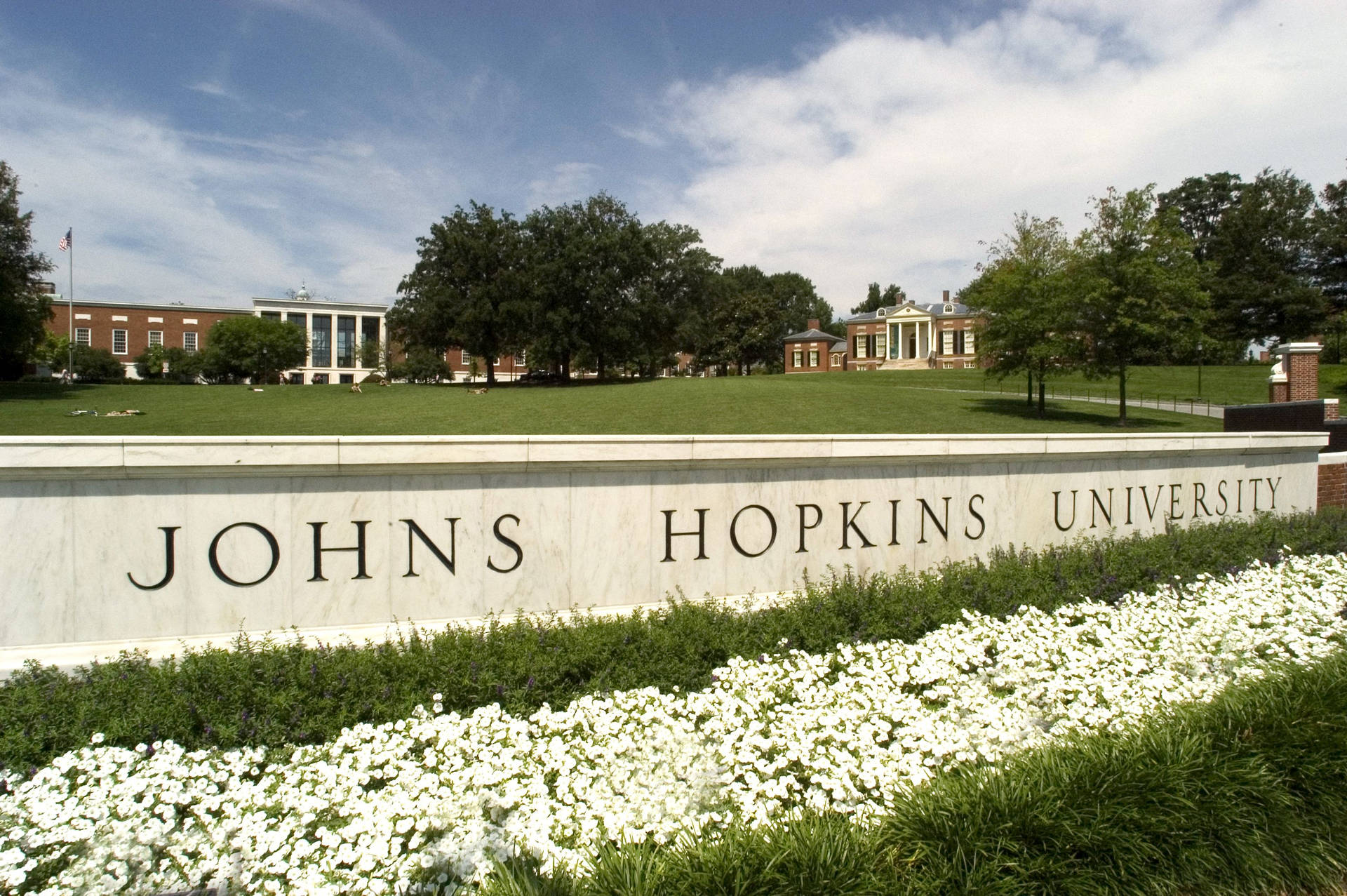 Johns Hopkins University White Flowers Wallpaper
