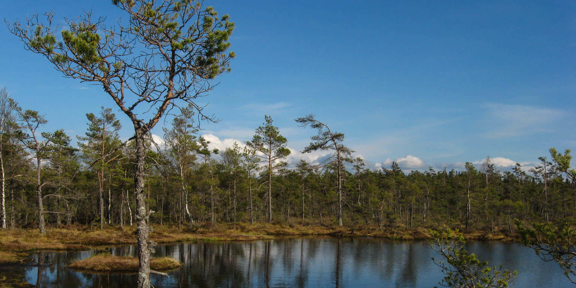 Lanskap Bog Jönköping Swedia Wallpaper