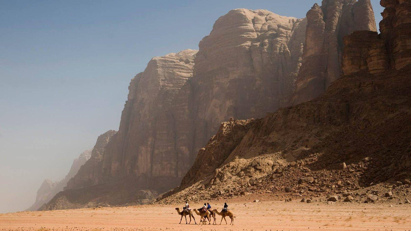 Jordan Nomadic Camel Trek Sfondo