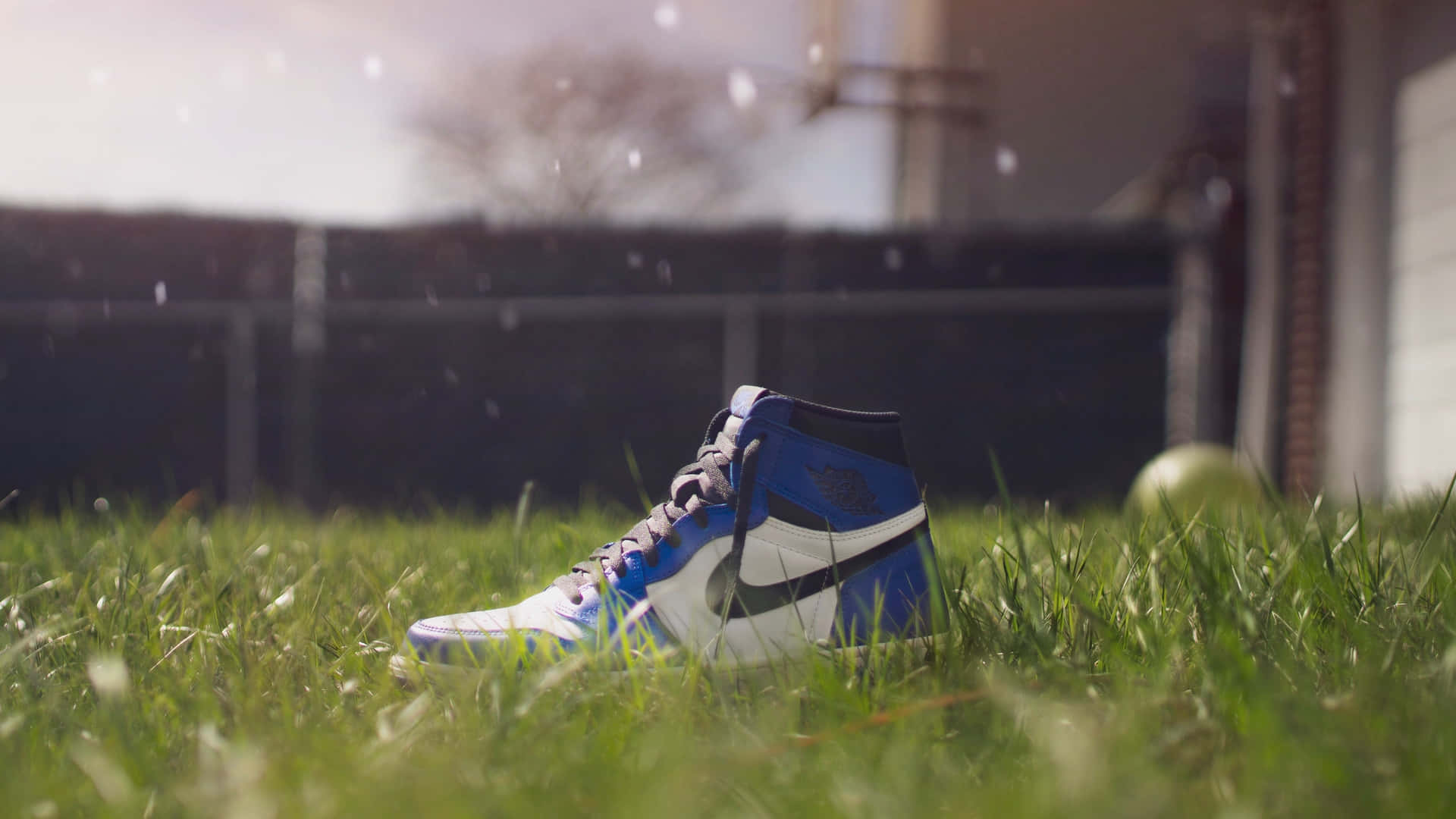 A Pair Of Sneakers Sitting In The Grass Wallpaper