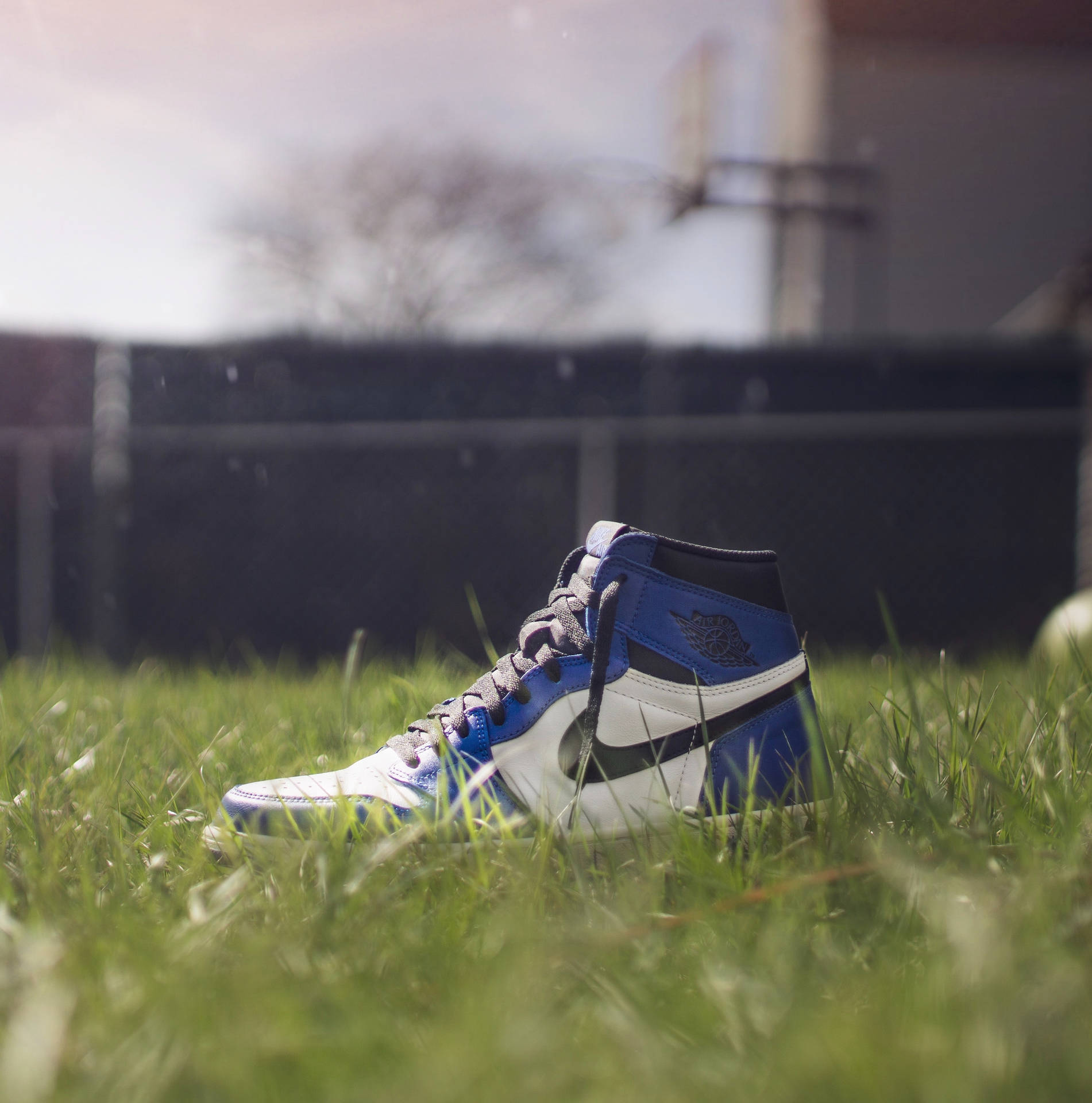 Bildfräscha Vita Nike Air Jordan-skor. Wallpaper