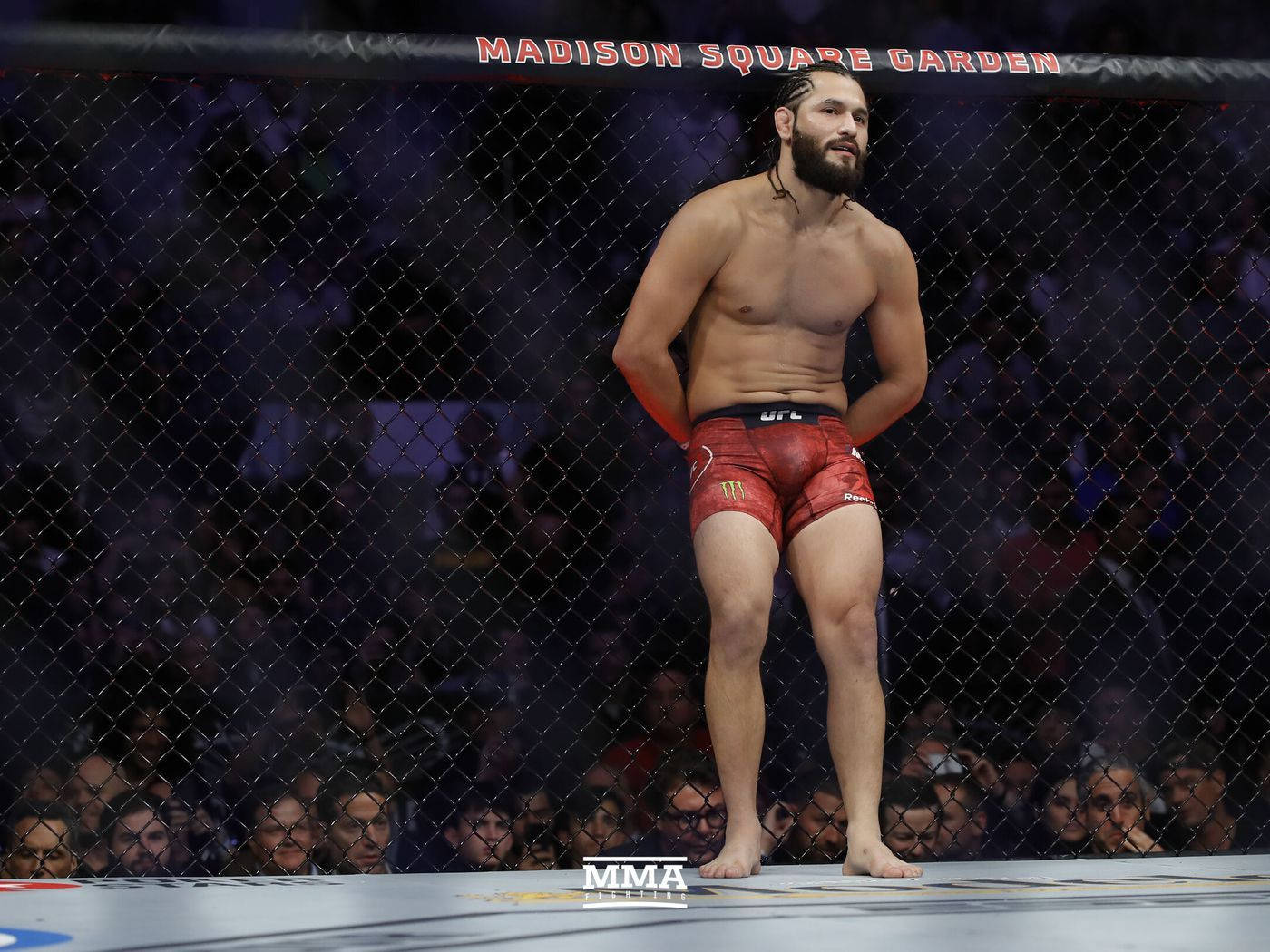Jorge Masvidal Leaning On Cage Wallpaper
