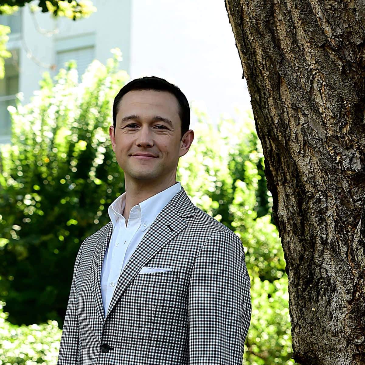 Actor Joseph Gordon-Levitt Wallpaper