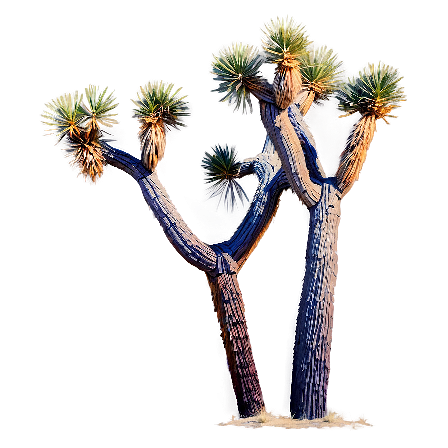 Joshua Tree In Pastel Colors Png Xqu92 PNG