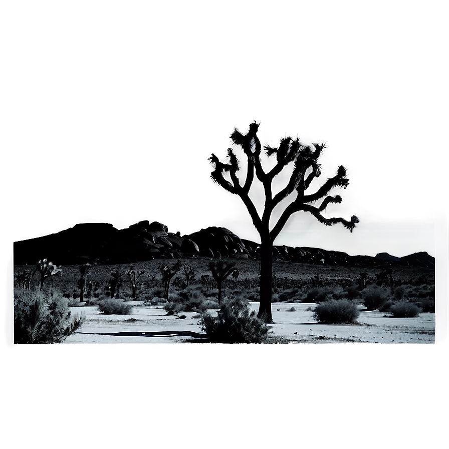 Joshua Tree Monochrome Scene Png 06262024 PNG