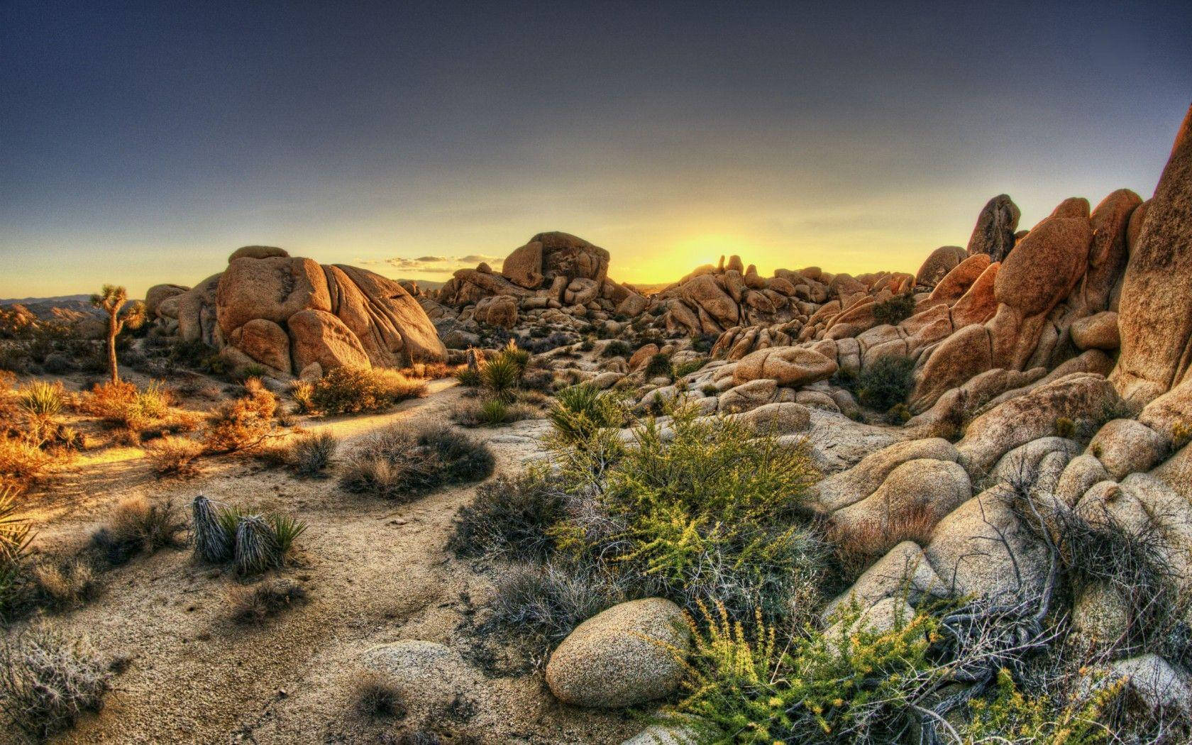 Joshuatree National Park Många Stenar (for A Wallpaper Featuring The Park Landscape With Many Rocks Scattered Throughout) Wallpaper
