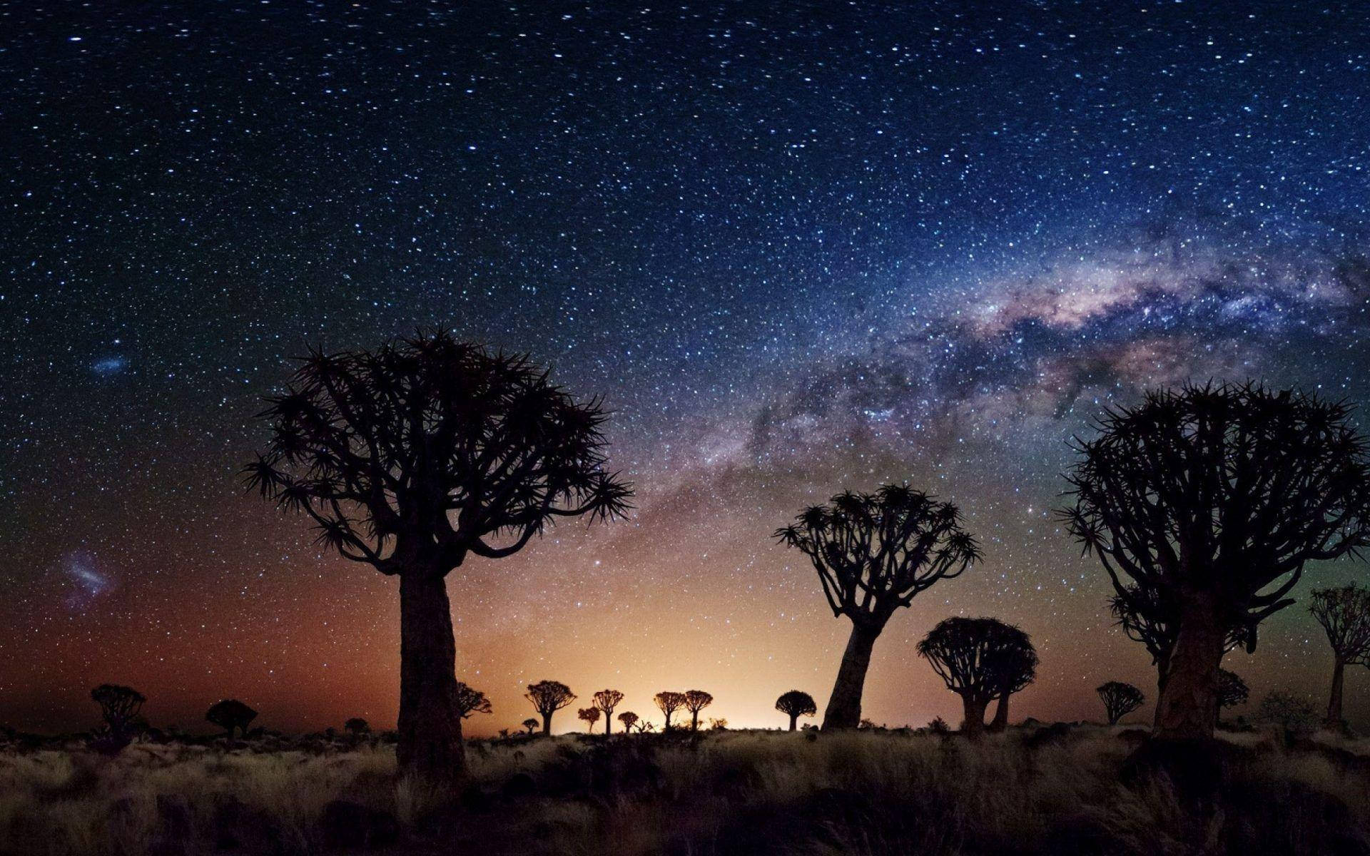 Joshua Tree National Park Milky Way Wallpaper