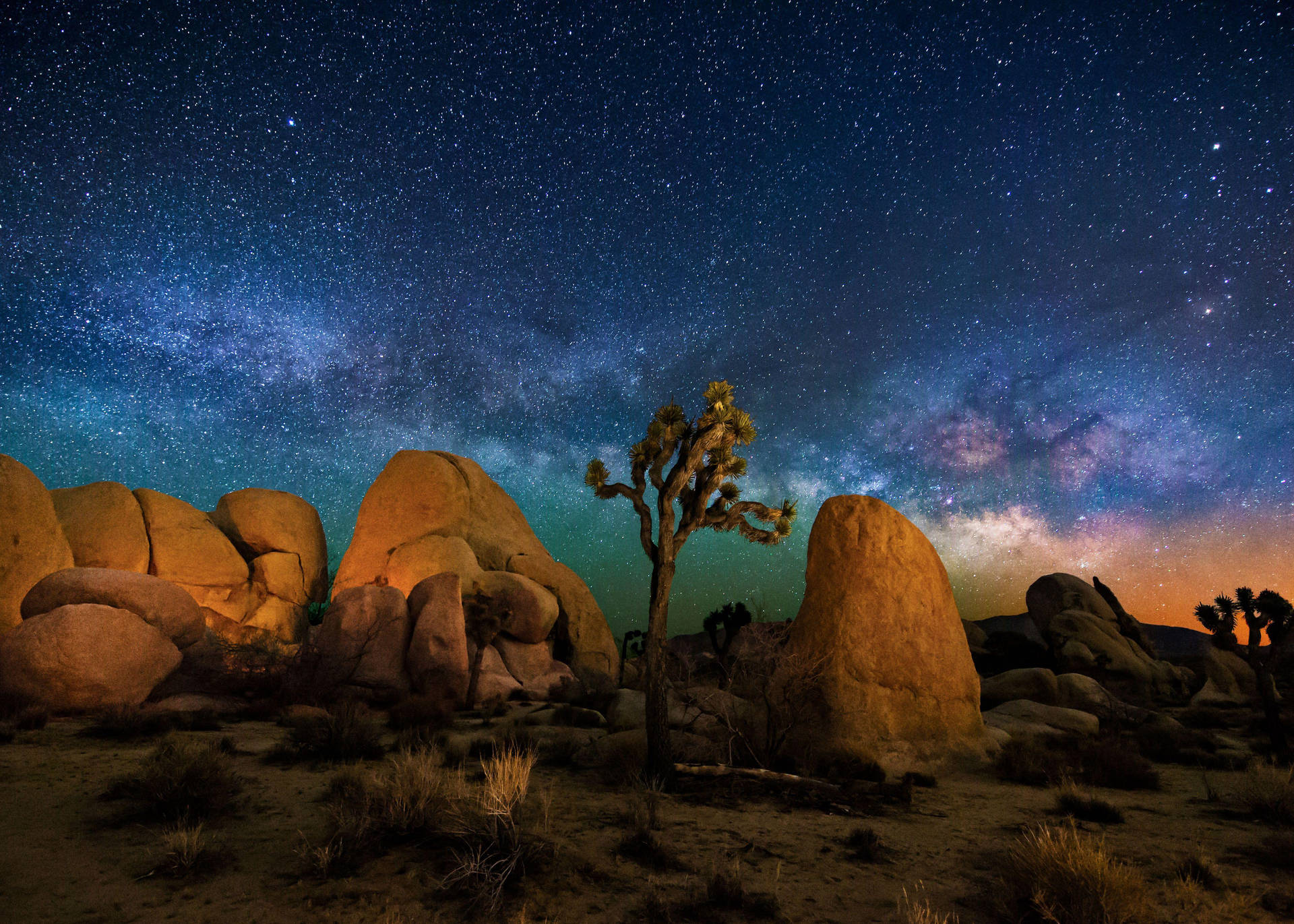 Joshua Tree National Park Starry Galaxy Sky Wallpaper