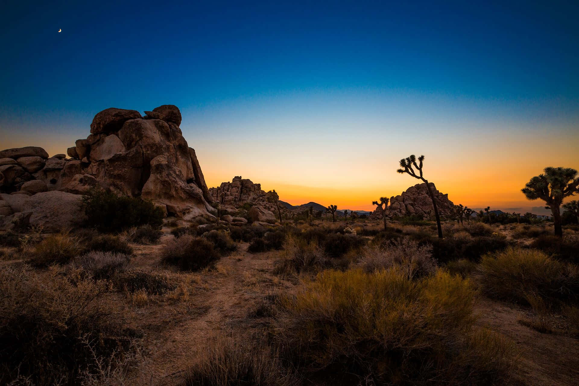 Joshua Tree National Park Evening Pictures