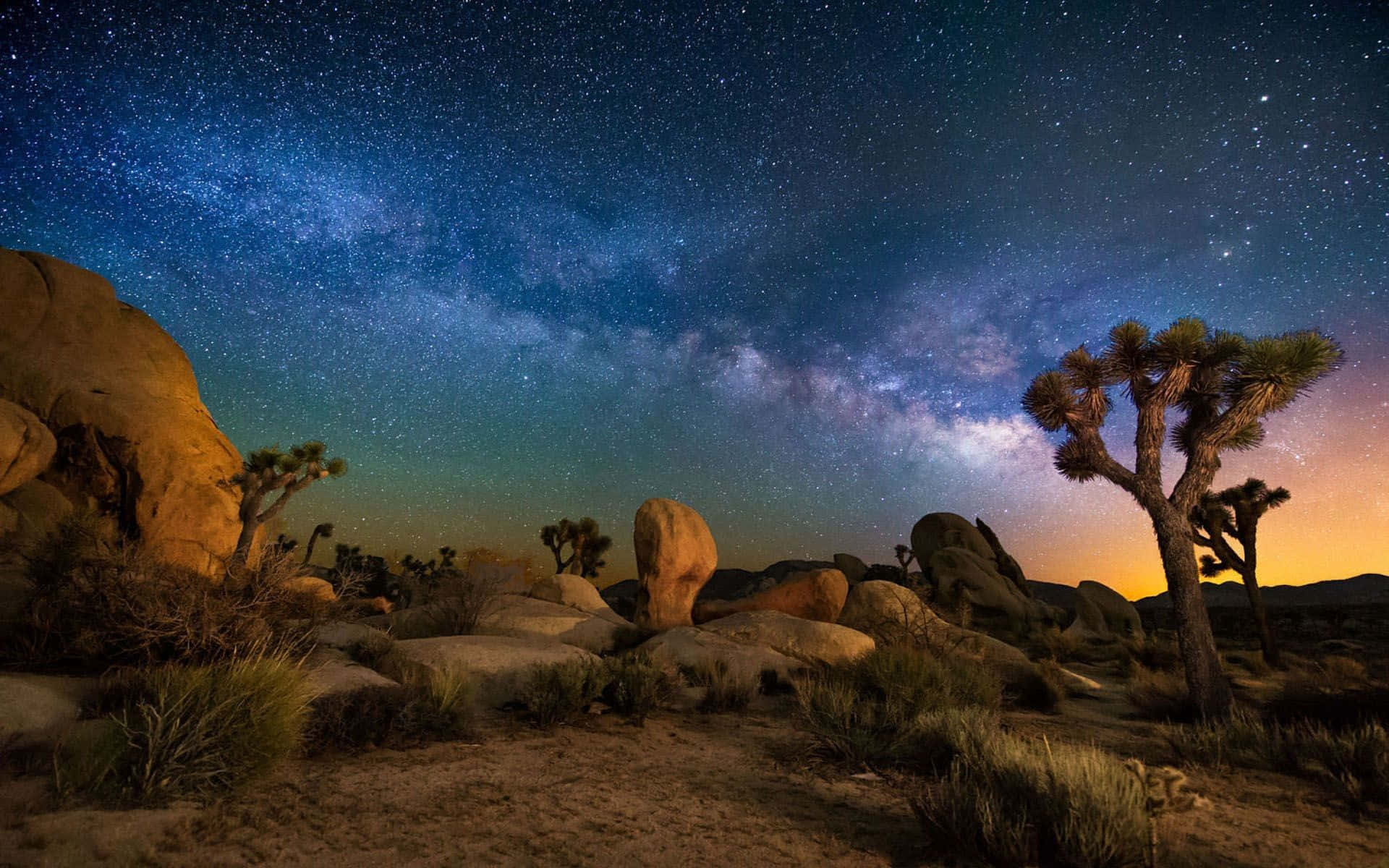 Joshua Tree Star Filled Sky Pictures