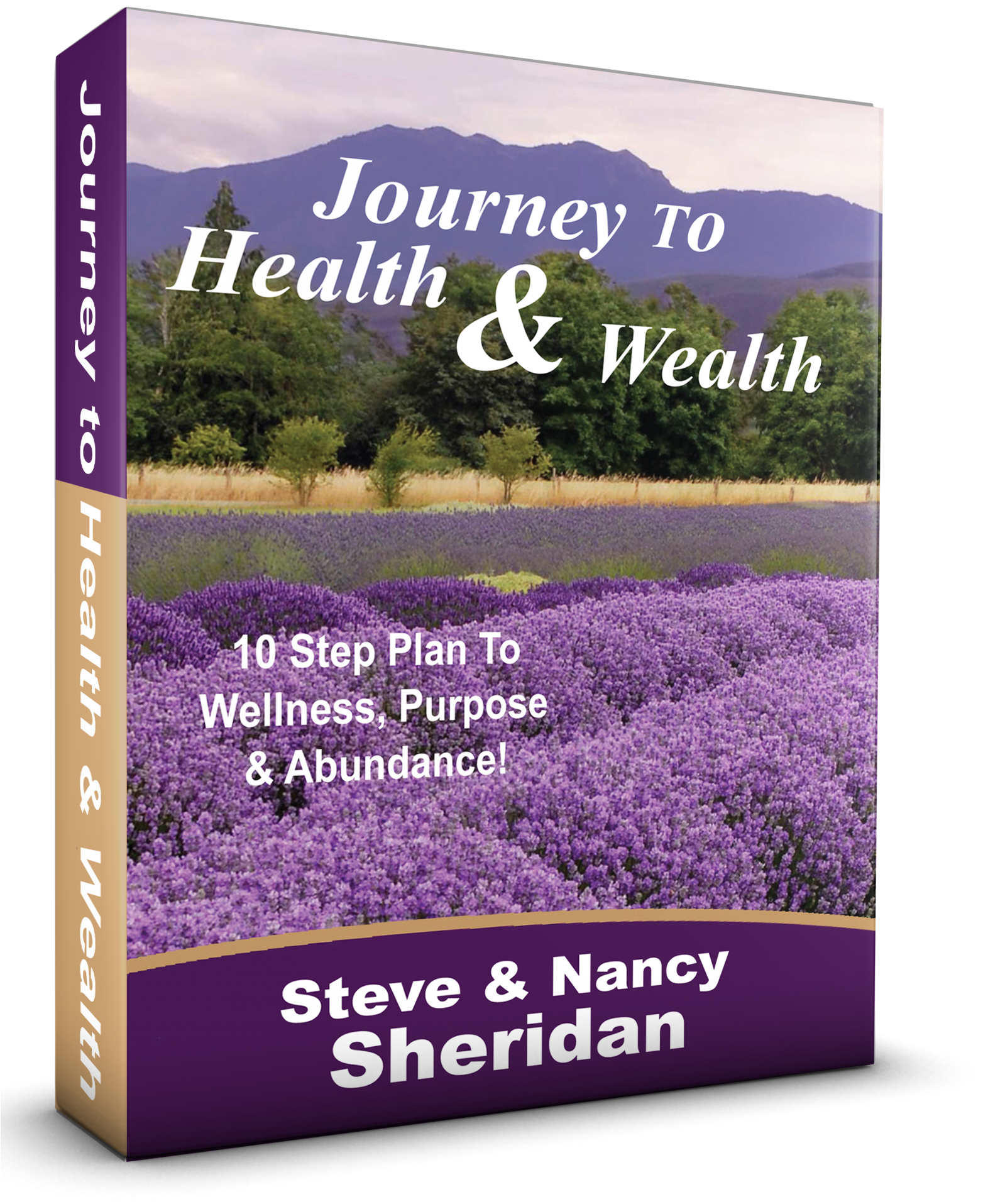 Journeyto Healthand Wealth Book Cover PNG
