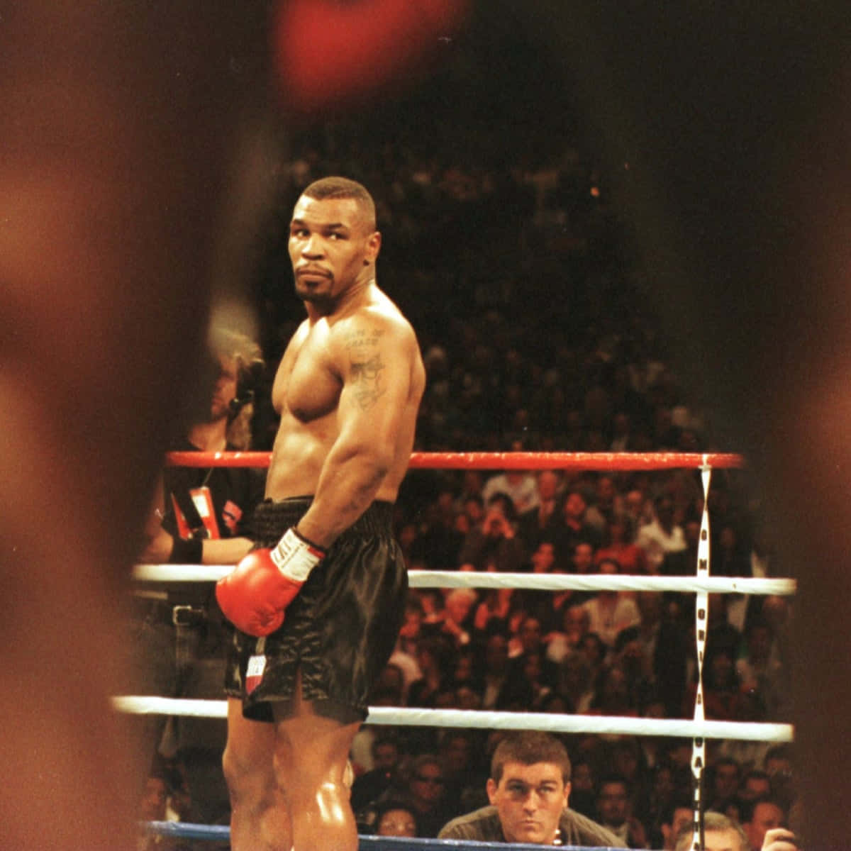 Jovenmike Tyson En Su Mejor Momento En El Boxeo
