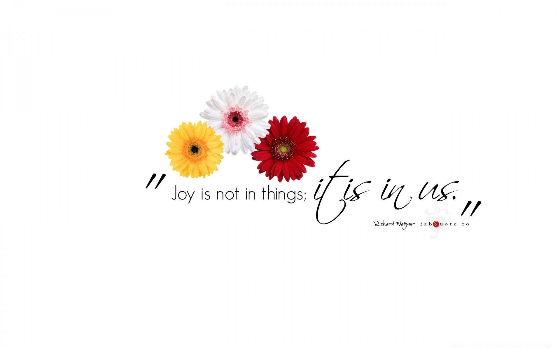 Joy Quote And Daisies Wallpaper