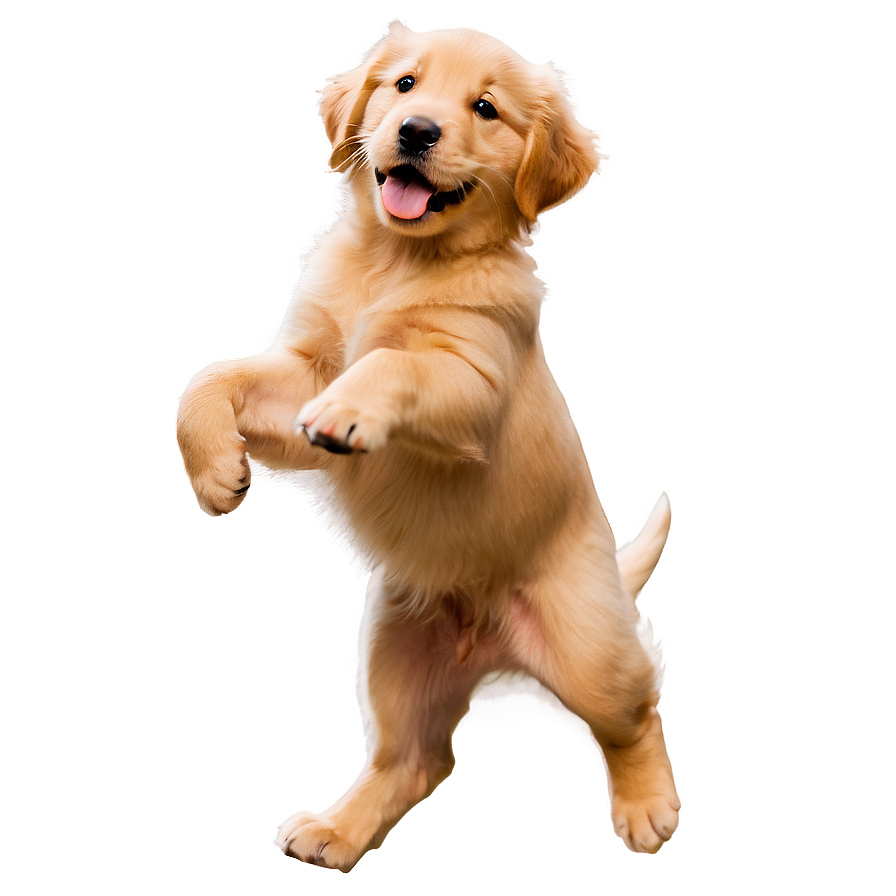 Joyful Golden Retriever Puppy Png 06252024 PNG