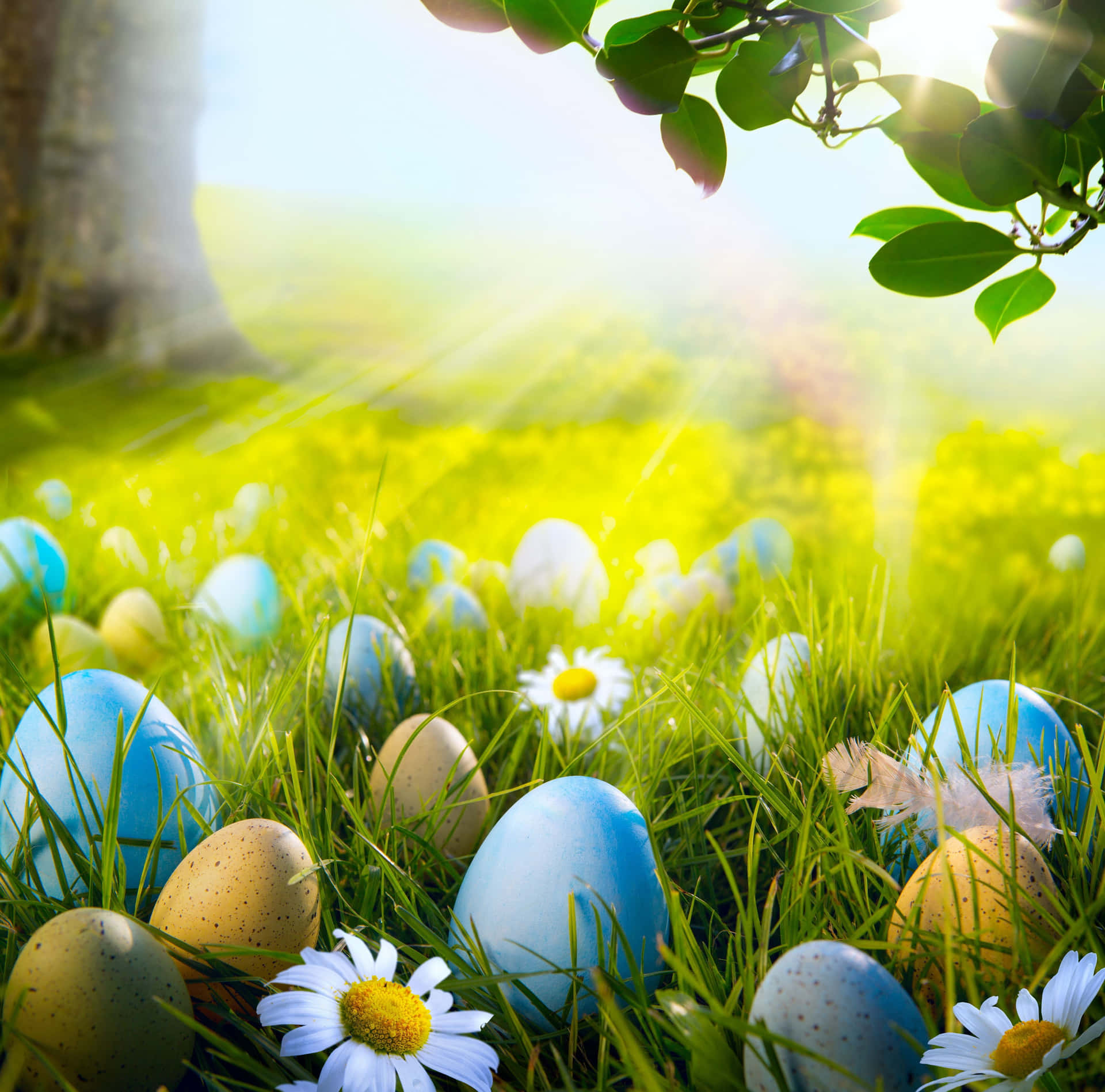Joyful Symbols Of Easter