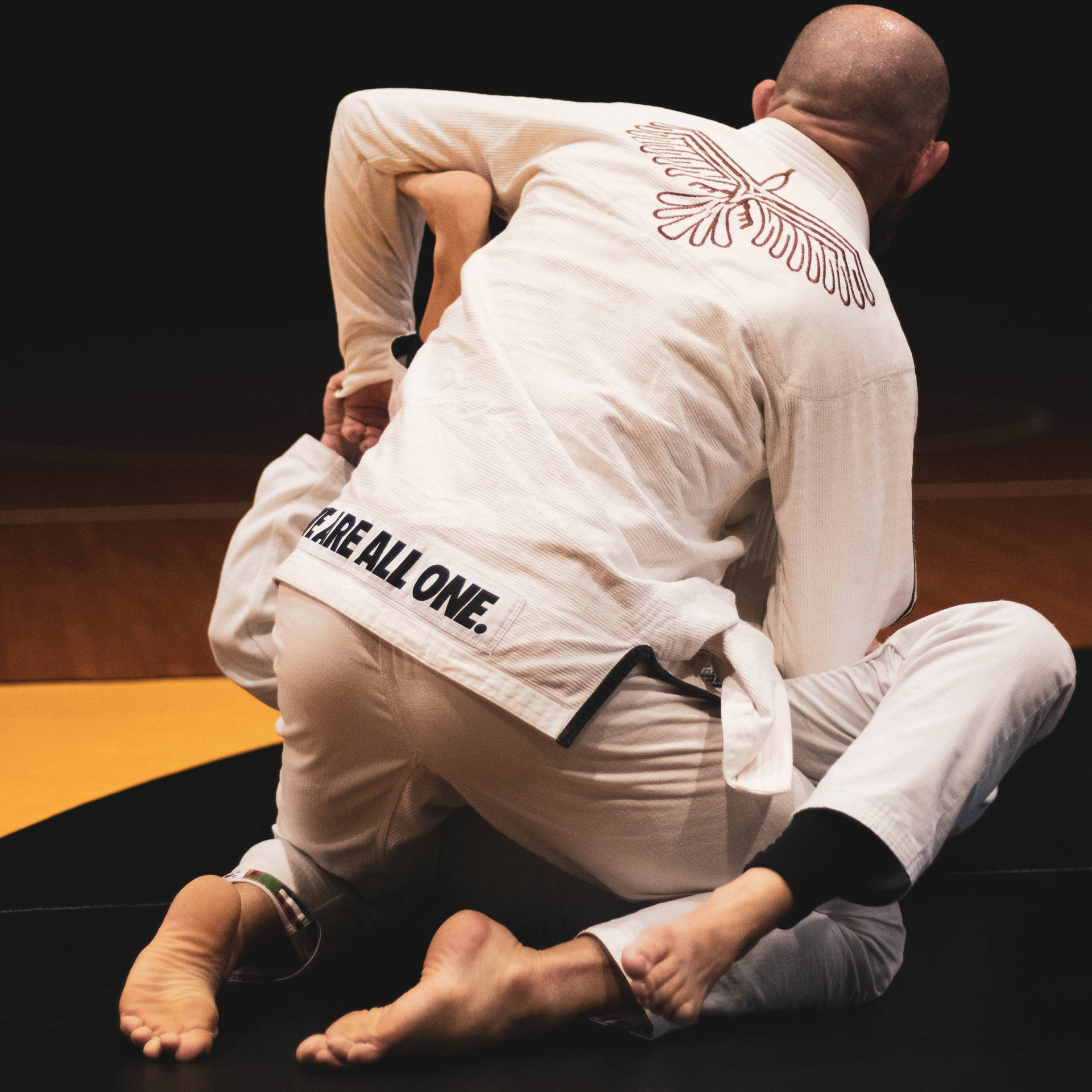 Técnicade Defensa De Judo Fondo de pantalla