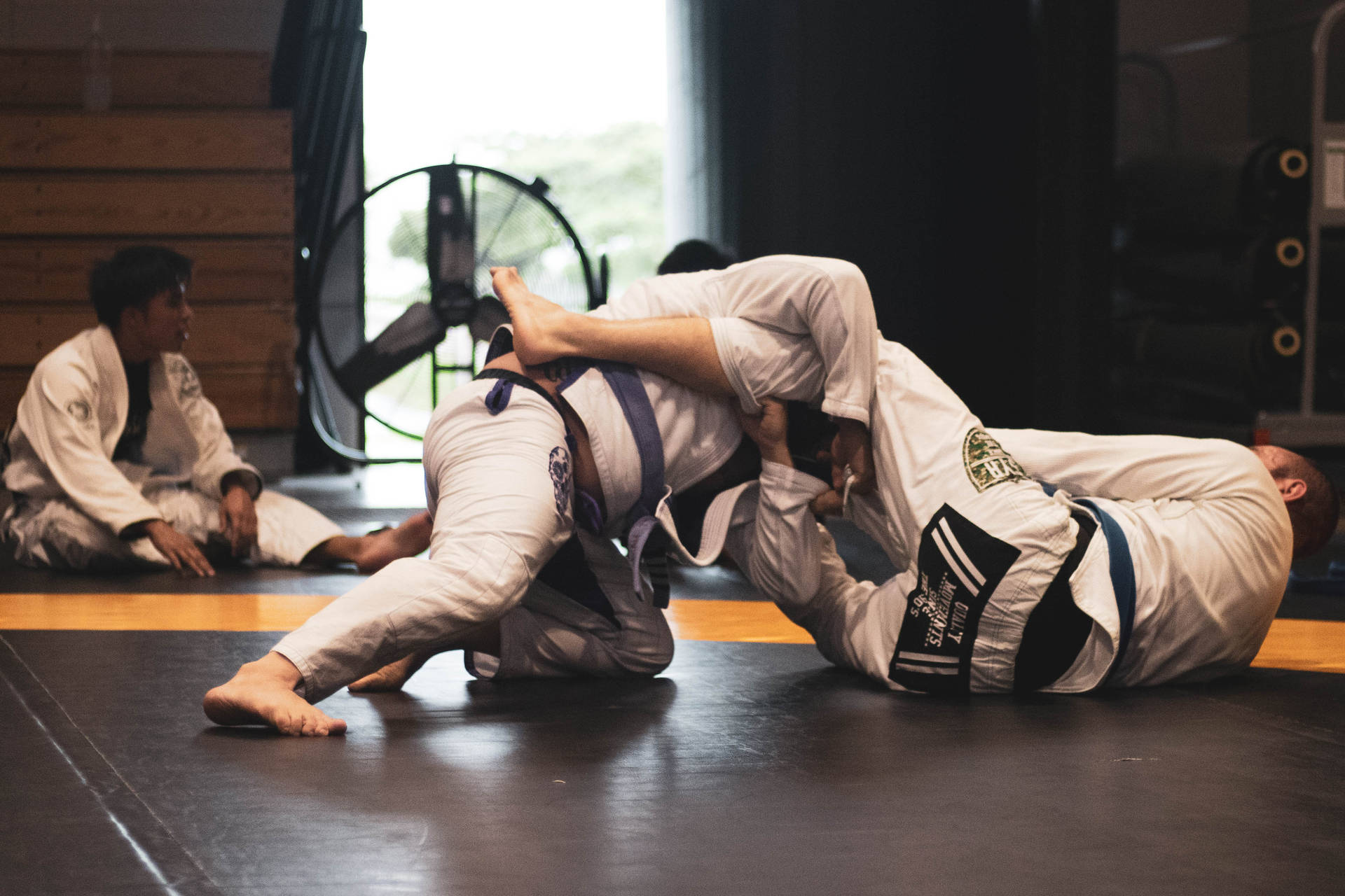Judo Intense Fight Wallpaper