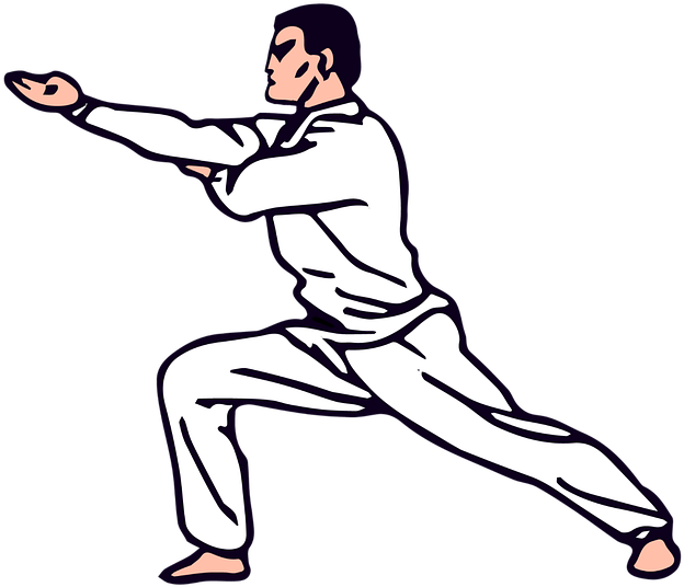 Judo Stance Illustration.png PNG