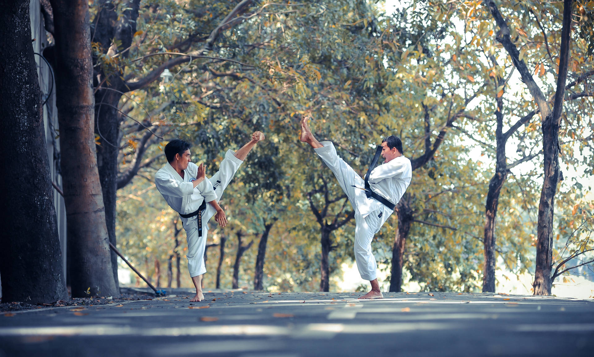 Judo med naturen Wallpaper