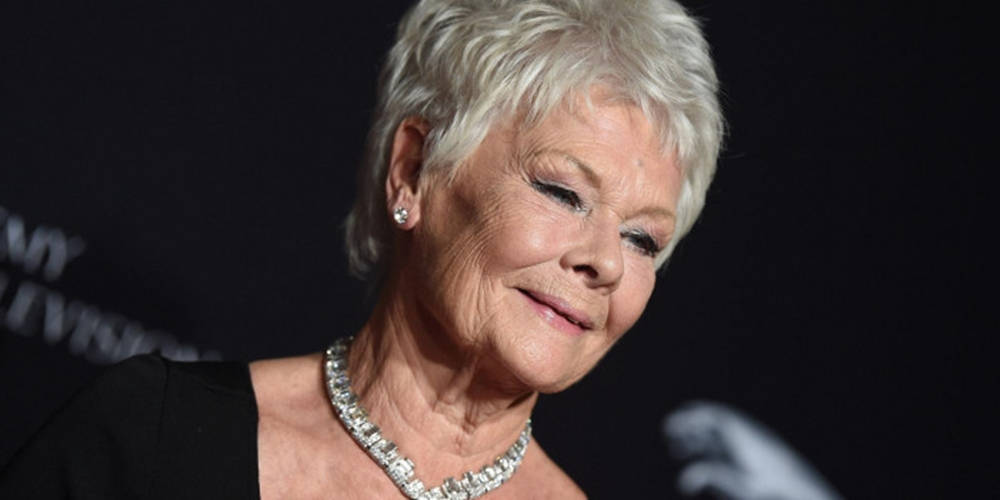 Judydench Fantastiskt Halsband (not Applicable In Context Of Computer Or Mobile Wallpaper) Wallpaper
