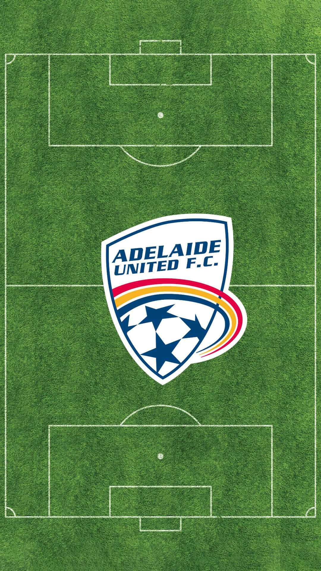 Jugadoresde Adelaide United Celebrando En El Campo. Fondo de pantalla