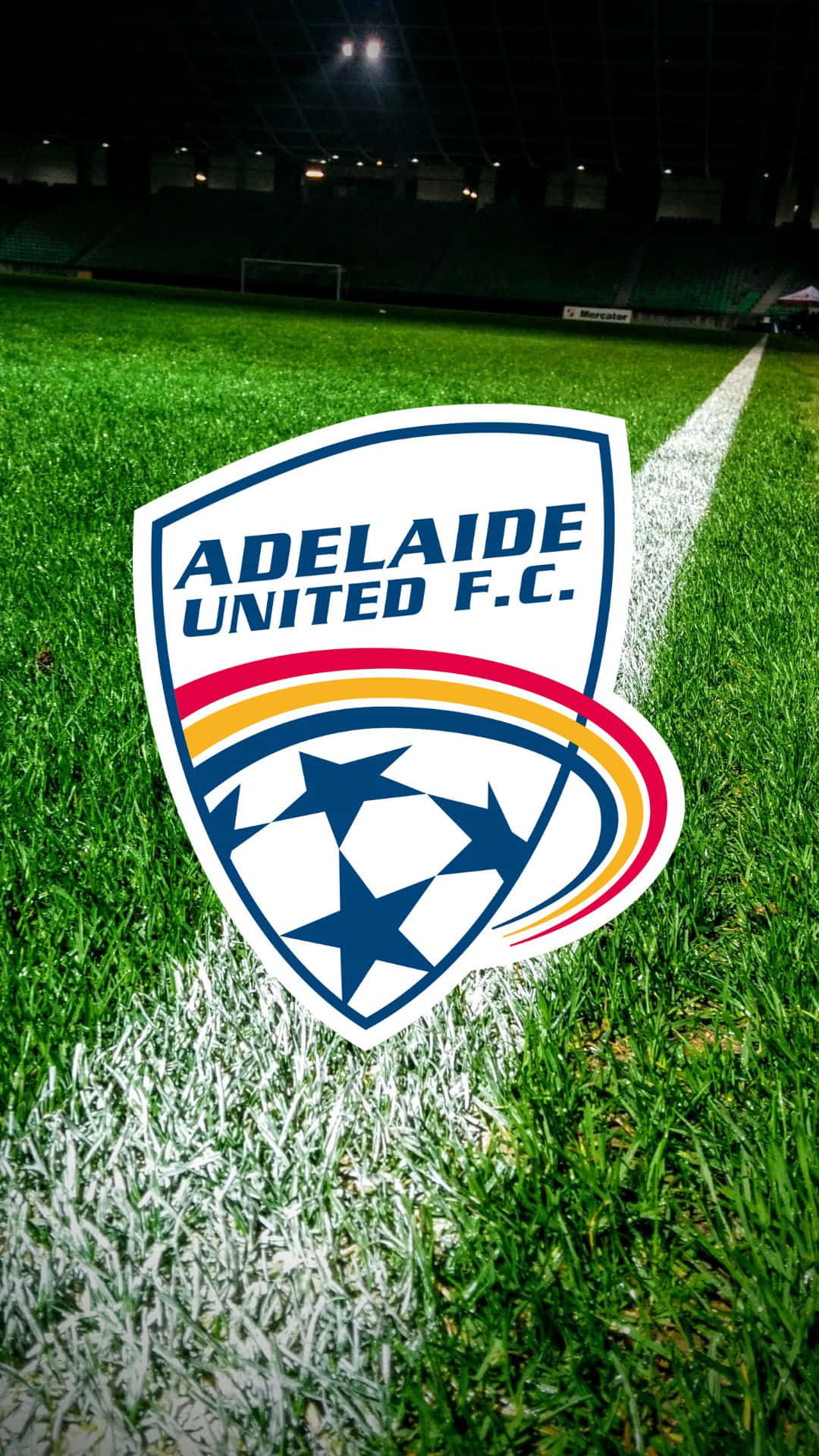 Jugadoresde Adelaide United Celebrando Un Gol En Acción. Fondo de pantalla