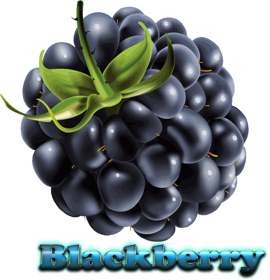 Juicy Blackberry Fruit Illustration PNG