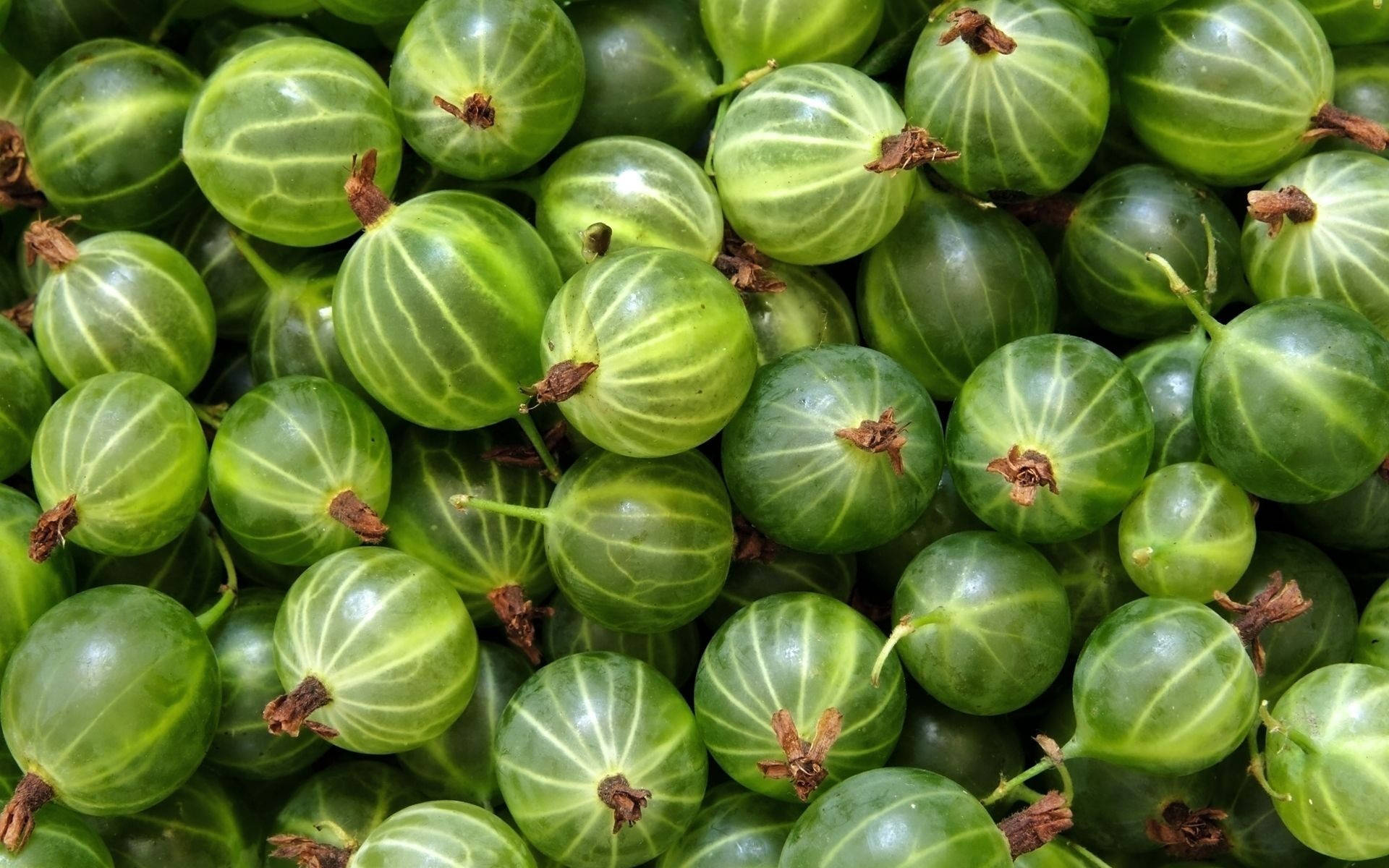 Fruttosuccoso Di Uva Spina Verde Burpee Sfondo