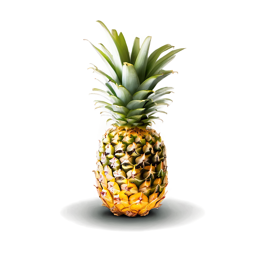 Juicy Pineapple Png Boa4 PNG