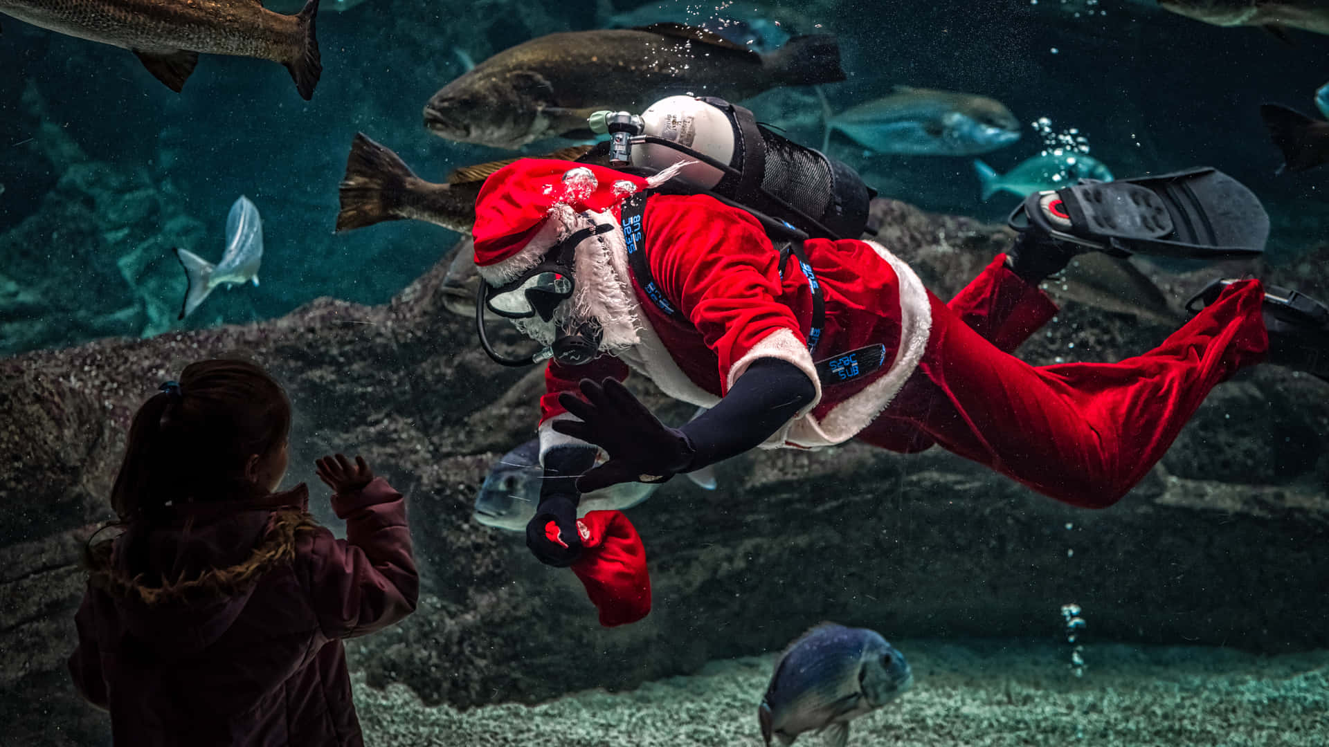 Santa Claus billeder galop gennem dette sjove og livlige tapet.