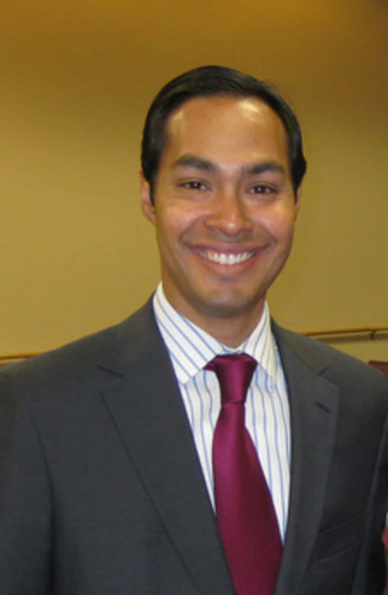 Julian Castro In A Gray Suit Wallpaper