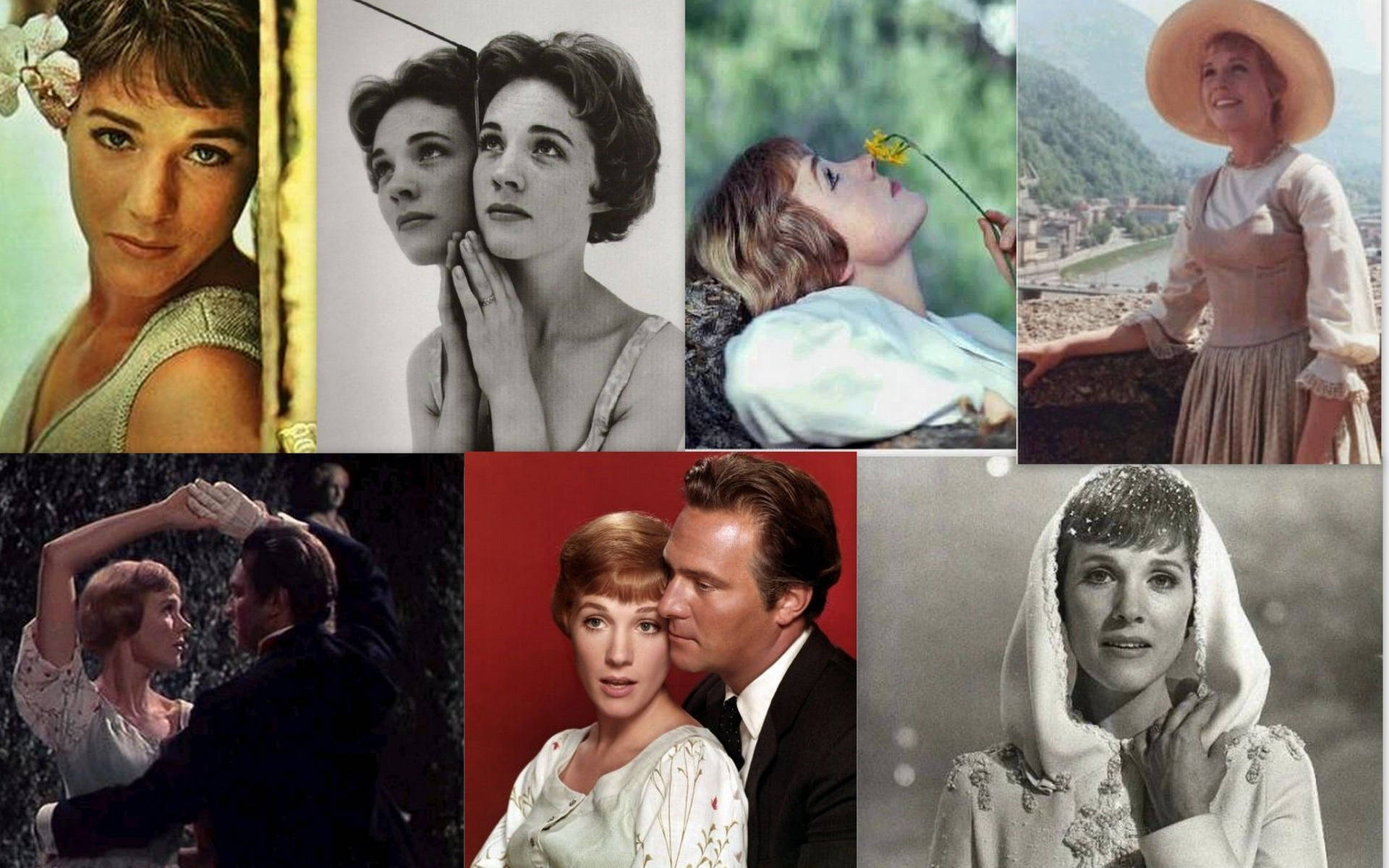 Julie Andrews Photo Collage