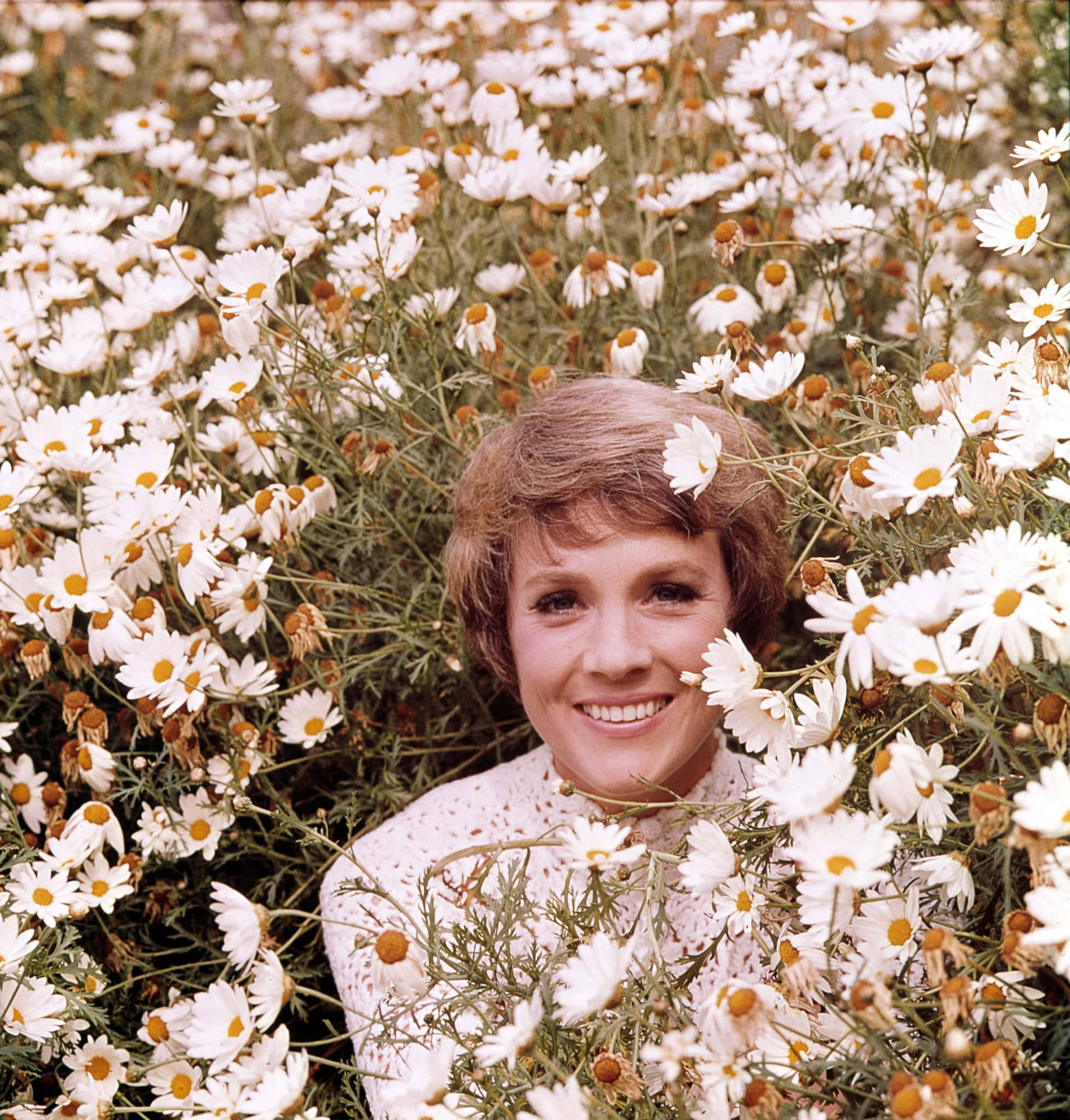 Julie Andrews With Daisies Wallpaper
