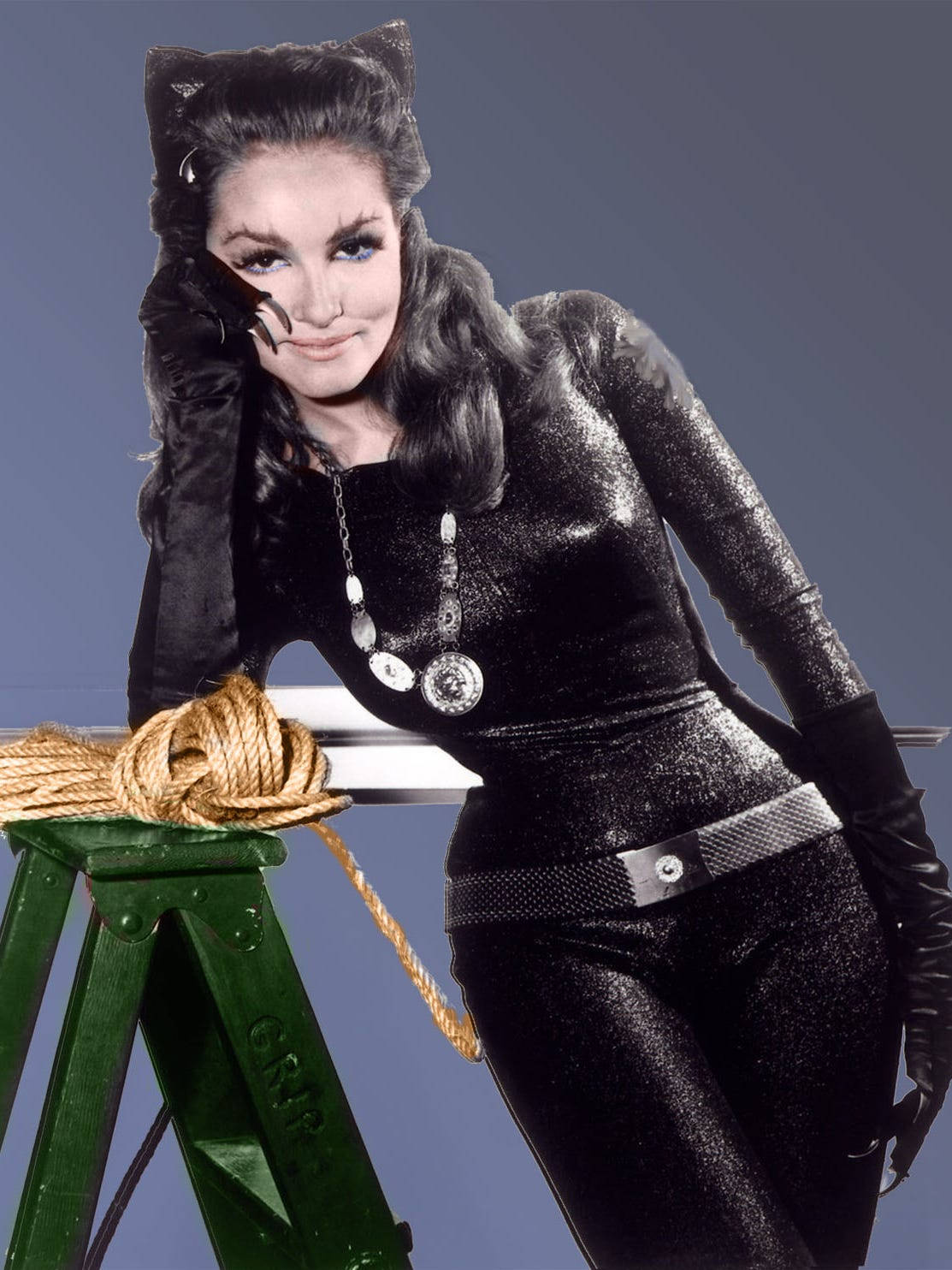 Julie Newmar As Catwoman Background