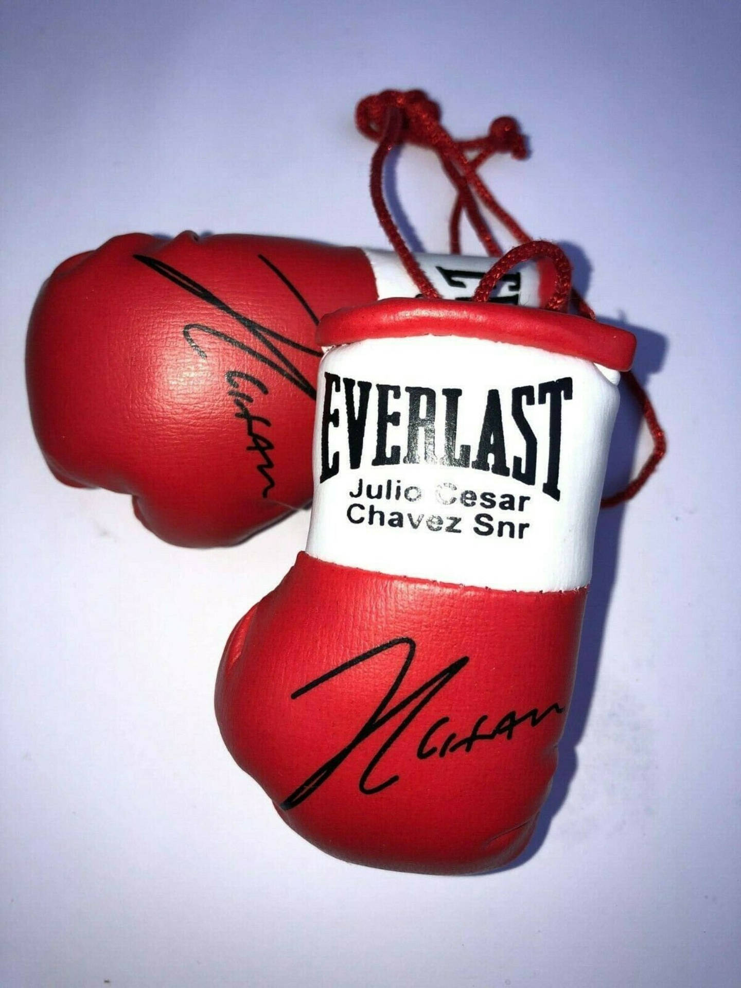 Julio Cesar Chavez Boxing Gloves Wallpaper