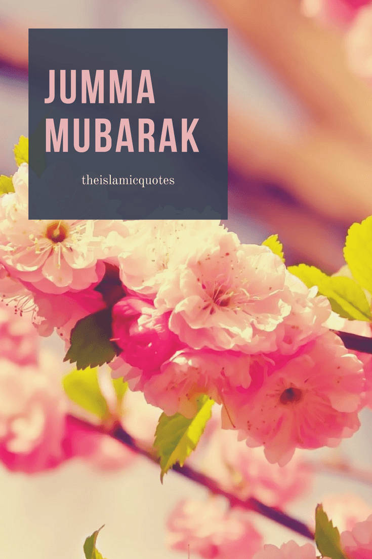 Jumma Mubarak Pink Flowers Background