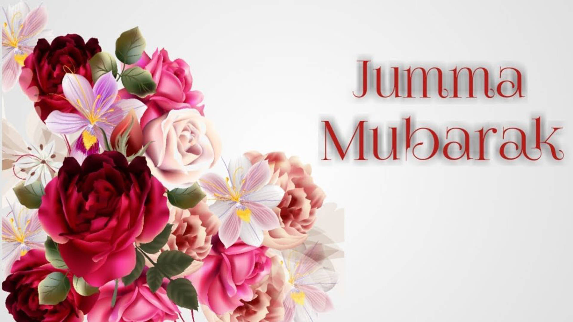 Jumma Mubarak Pink Roses Background