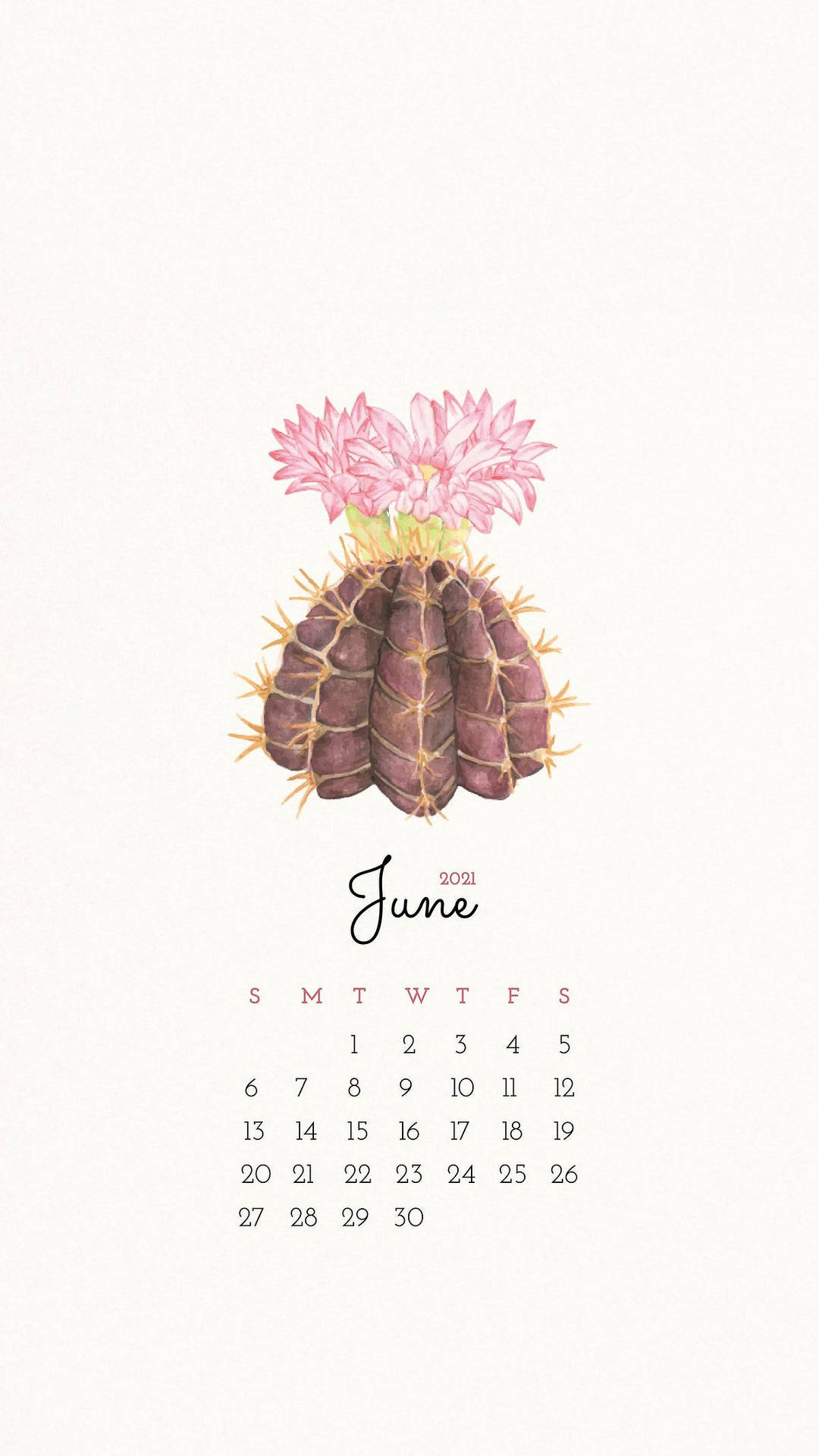 A Calendar With A Cactus On It Wallpaper