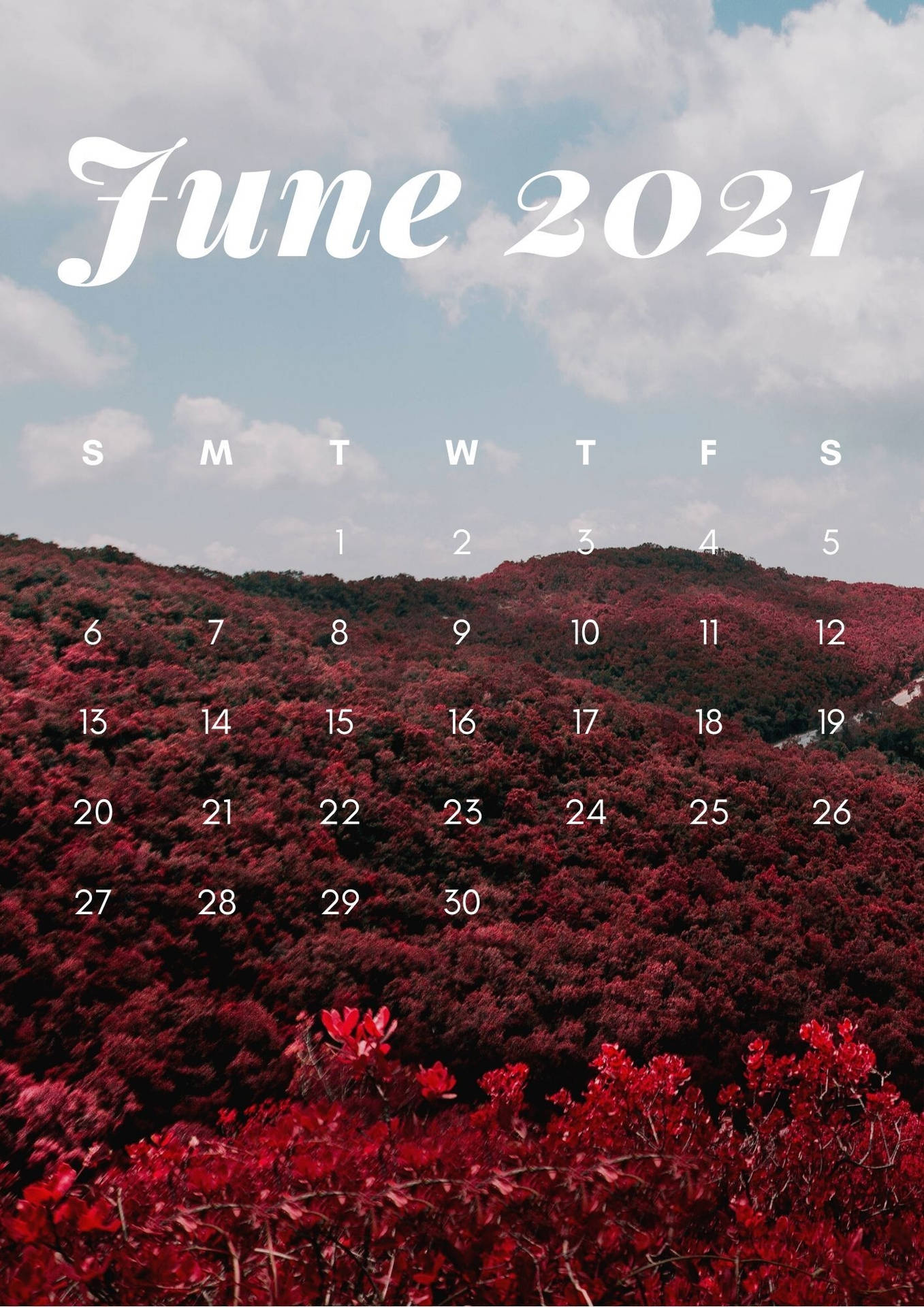 June 2021 Calendar Iphone Screen Wallpaper